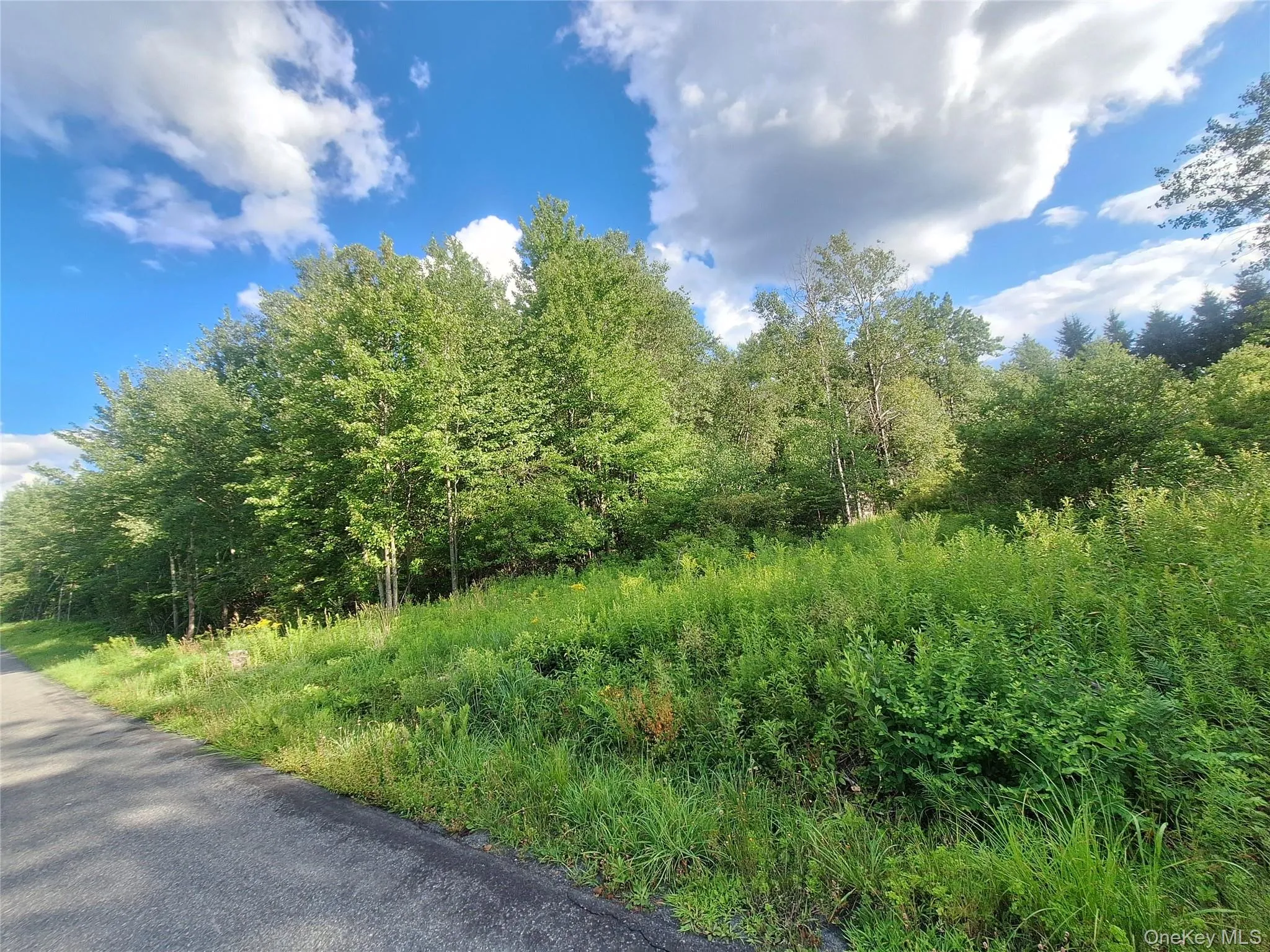 Burnt Ridge Road, Fallsburg, NY, ,Land,For Rent,Burnt Ridge,0,1035980 Burnt Ridge Road, Fallsburg, NY, ,Land,For Rent,Burnt Ridge,0,1035980