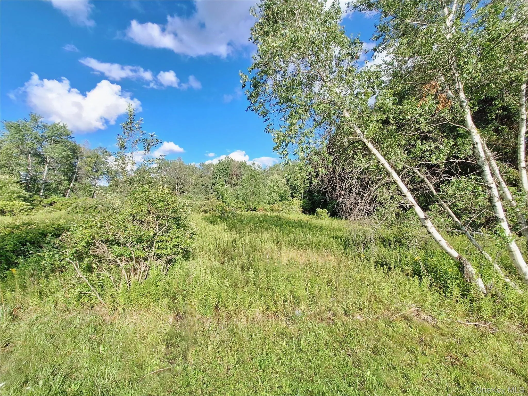 Burnt Ridge Road, Fallsburg, NY, ,Land,For Rent,Burnt Ridge,0,1035980 Burnt Ridge Road, Fallsburg, NY, ,Land,For Rent,Burnt Ridge,0,1035980