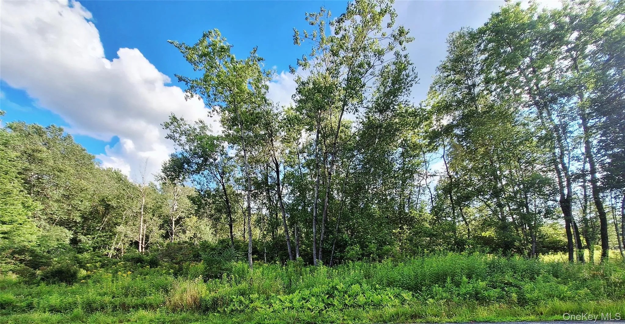 Burnt Ridge Road, Fallsburg, NY, ,Land,For Rent,Burnt Ridge,0,1035980 Burnt Ridge Road, Fallsburg, NY, ,Land,For Rent,Burnt Ridge,0,1035980
