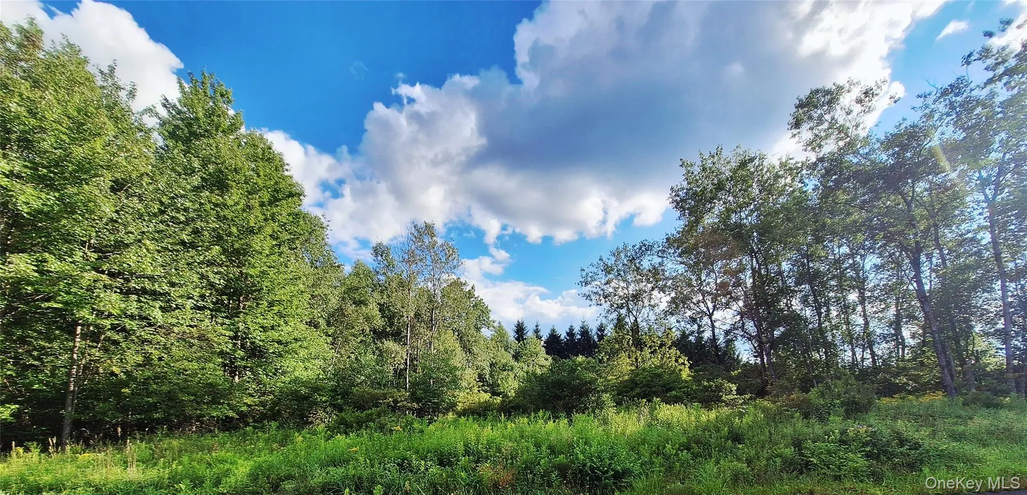 Burnt Ridge Road, Fallsburg, NY, ,Land,For Rent,Burnt Ridge,0,1035980 Burnt Ridge Road, Fallsburg, NY, ,Land,For Rent,Burnt Ridge,0,1035980