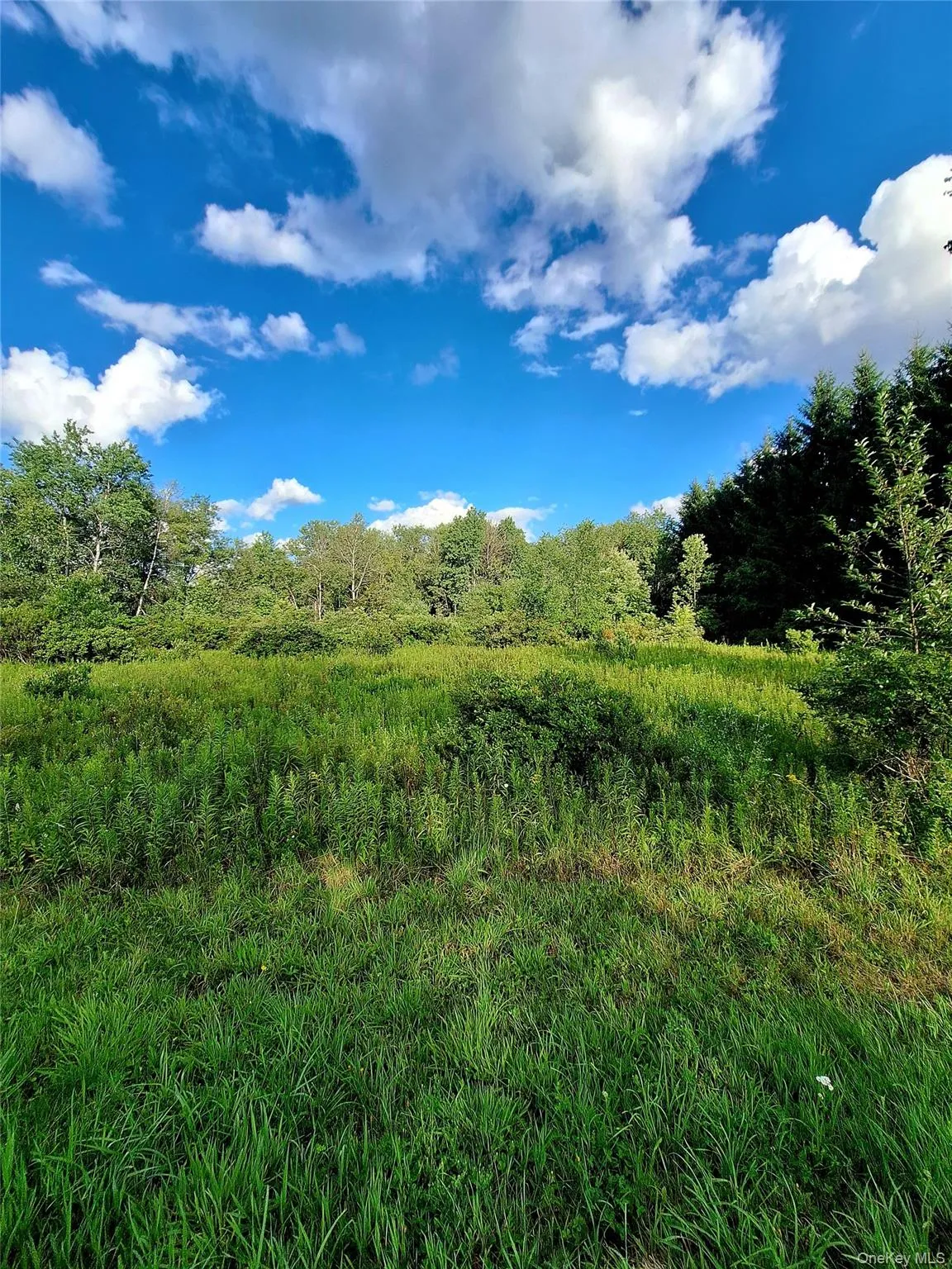 Burnt Ridge Road, Fallsburg, NY, ,Land,For Rent,Burnt Ridge,0,1035980 Burnt Ridge Road, Fallsburg, NY, ,Land,For Rent,Burnt Ridge,0,1035980