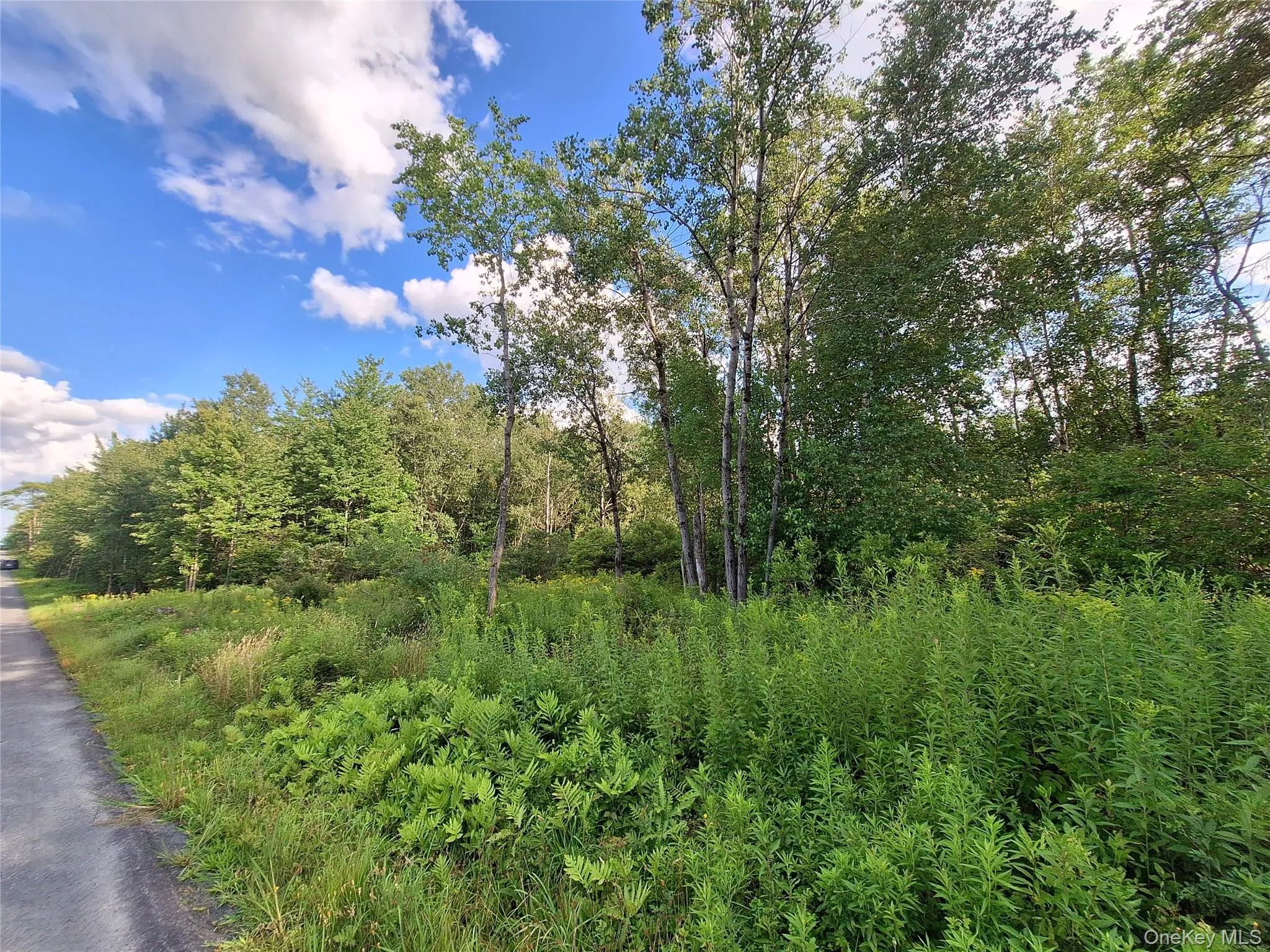 Burnt Ridge Road, Fallsburg, NY, ,Land,For Rent,Burnt Ridge,0,1035980 Burnt Ridge Road, Fallsburg, NY, ,Land,For Rent,Burnt Ridge,0,1035980