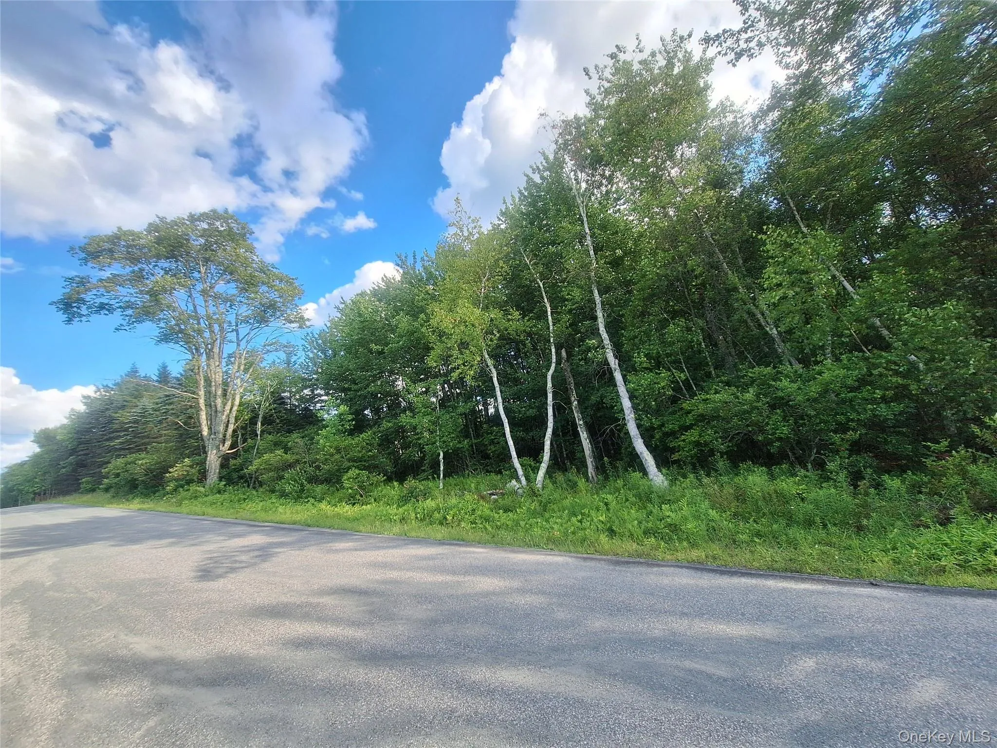 Burnt Ridge Road, Fallsburg, NY, ,Land,For Rent,Burnt Ridge,0,1035980 Burnt Ridge Road, Fallsburg, NY, ,Land,For Rent,Burnt Ridge,0,1035980