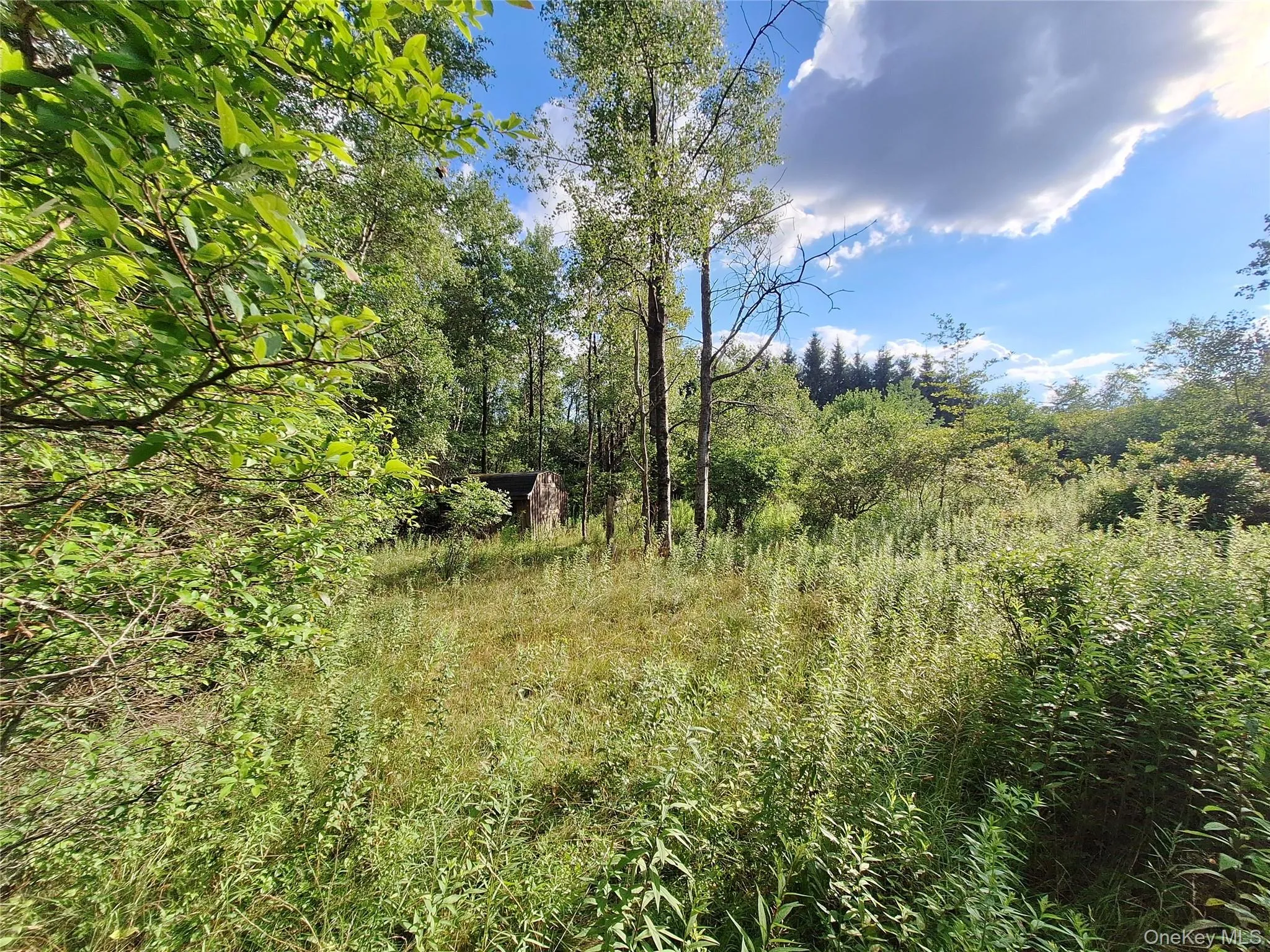 Burnt Ridge Road, Fallsburg, NY, ,Land,For Rent,Burnt Ridge,0,1035980 Burnt Ridge Road, Fallsburg, NY, ,Land,For Rent,Burnt Ridge,0,1035980