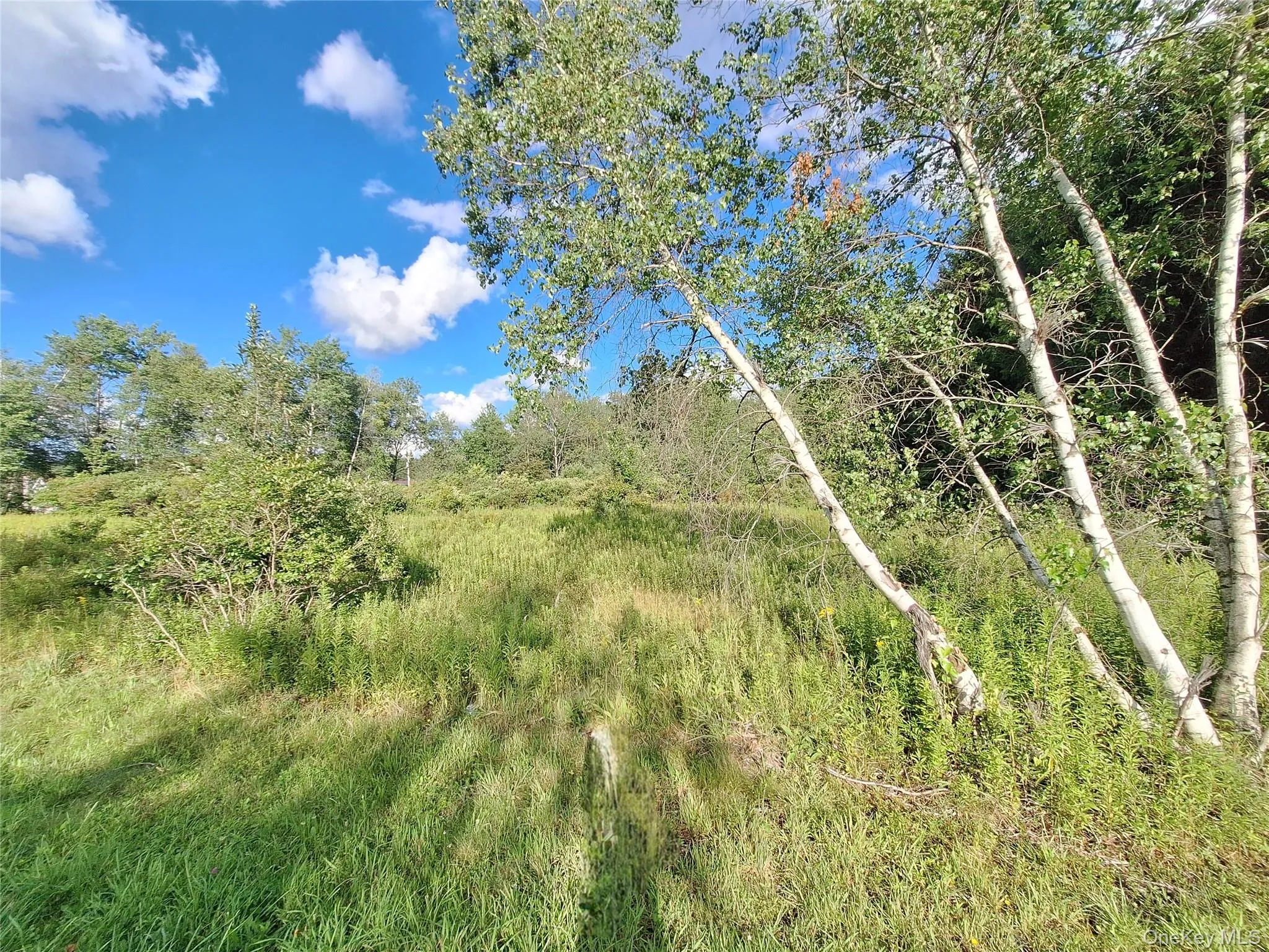 Burnt Ridge Road, Fallsburg, NY, ,Land,For Rent,Burnt Ridge,0,1035980 Burnt Ridge Road, Fallsburg, NY, ,Land,For Rent,Burnt Ridge,0,1035980