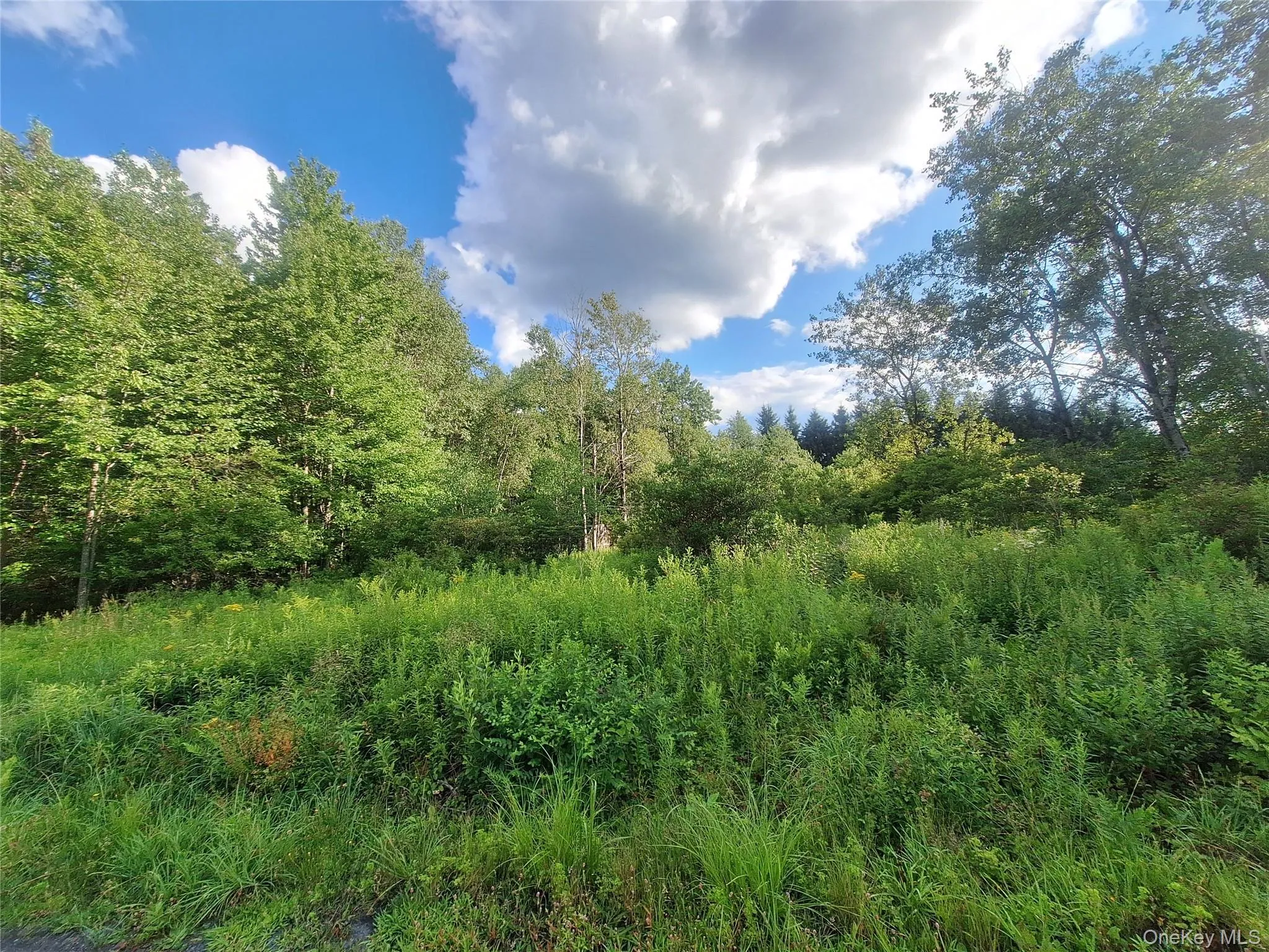 Burnt Ridge Road, Fallsburg, NY, ,Land,For Rent,Burnt Ridge,0,1035980 Burnt Ridge Road, Fallsburg, NY, ,Land,For Rent,Burnt Ridge,0,1035980