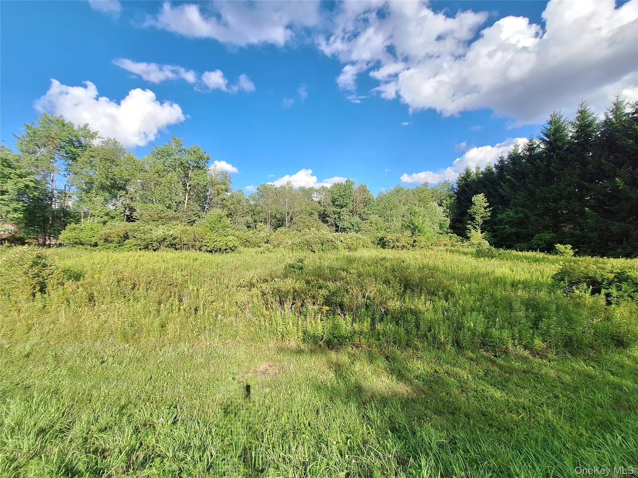 Burnt Ridge Road, Fallsburg, NY, ,Land,For Rent,Burnt Ridge,0,1035980 Burnt Ridge Road, Fallsburg, NY, ,Land,For Rent,Burnt Ridge,0,1035980