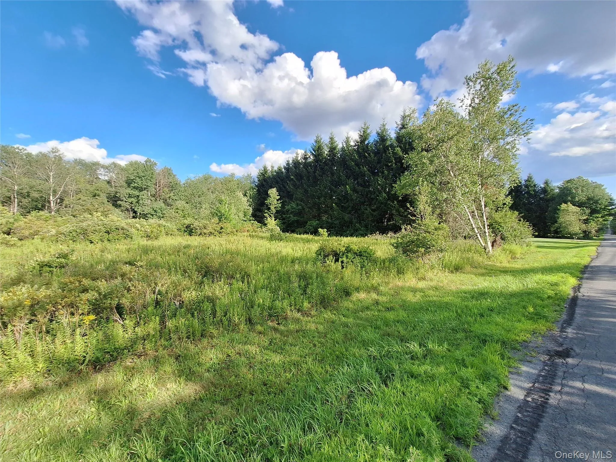 Burnt Ridge Road, Fallsburg, NY, ,Land,For Rent,Burnt Ridge,0,1035980 Burnt Ridge Road, Fallsburg, NY, ,Land,For Rent,Burnt Ridge,0,1035980