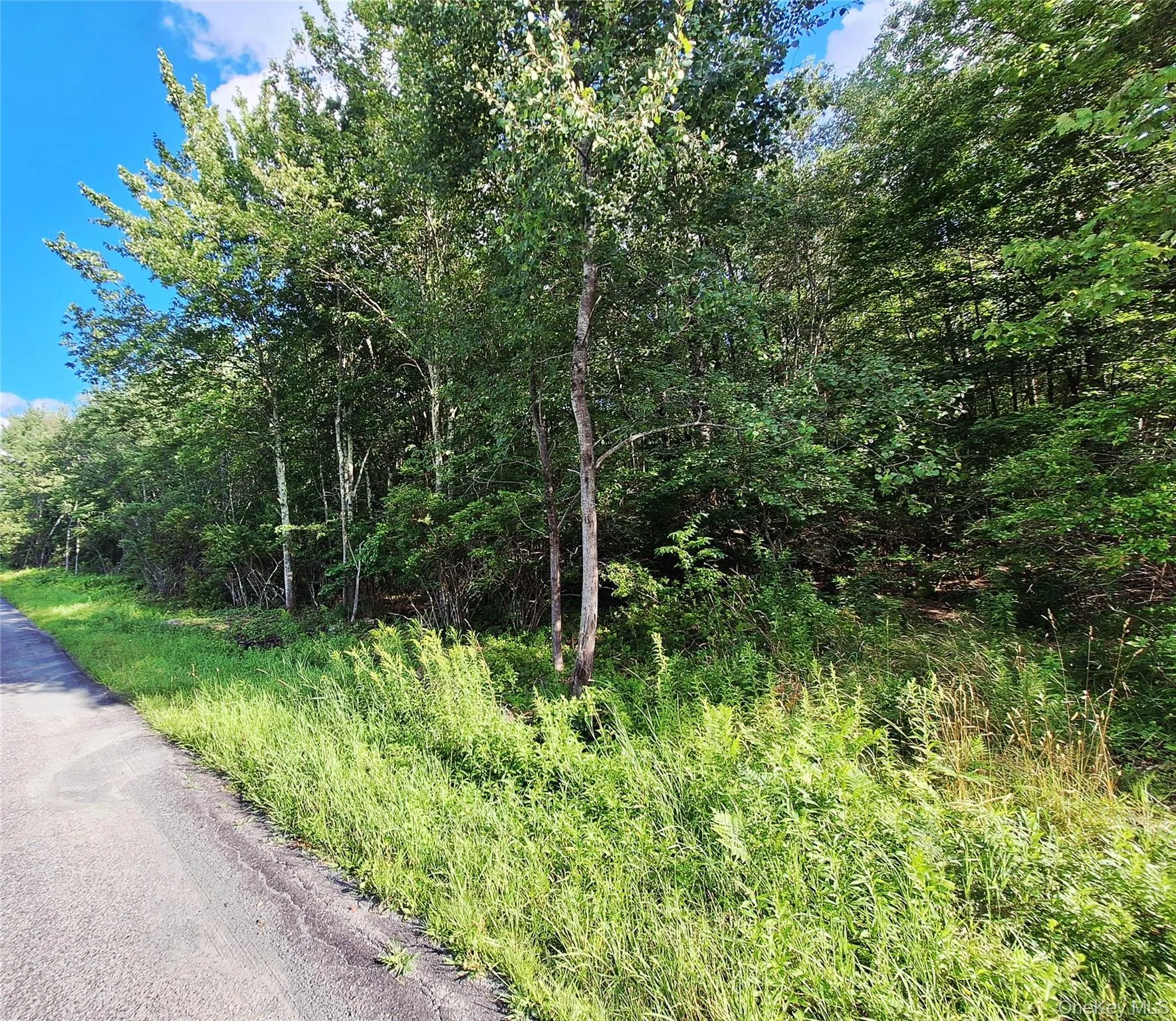 Burnt Ridge Road, Fallsburg, NY, ,Land,For Rent,Burnt Ridge,0,1035980 Burnt Ridge Road, Fallsburg, NY, ,Land,For Rent,Burnt Ridge,0,1035980