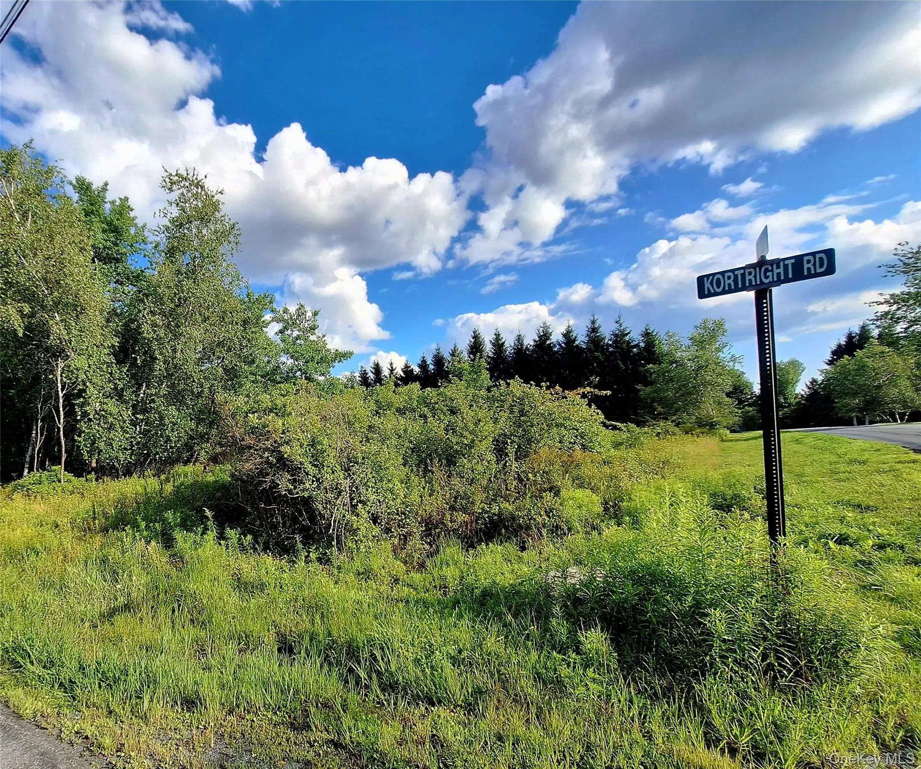 Burnt Ridge Road, Fallsburg, NY, ,Land,For Rent,Burnt Ridge,0,1035980 Burnt Ridge Road, Fallsburg, NY, ,Land,For Rent,Burnt Ridge,0,1035980