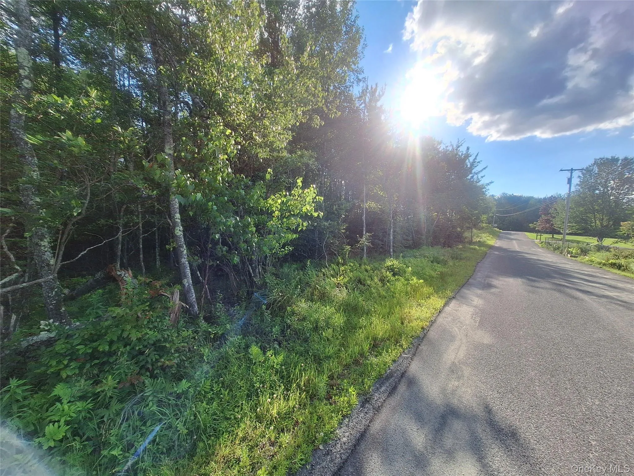 Burnt Ridge Road, Fallsburg, NY, ,Land,For Rent,Burnt Ridge,0,1035980 Burnt Ridge Road, Fallsburg, NY, ,Land,For Rent,Burnt Ridge,0,1035980