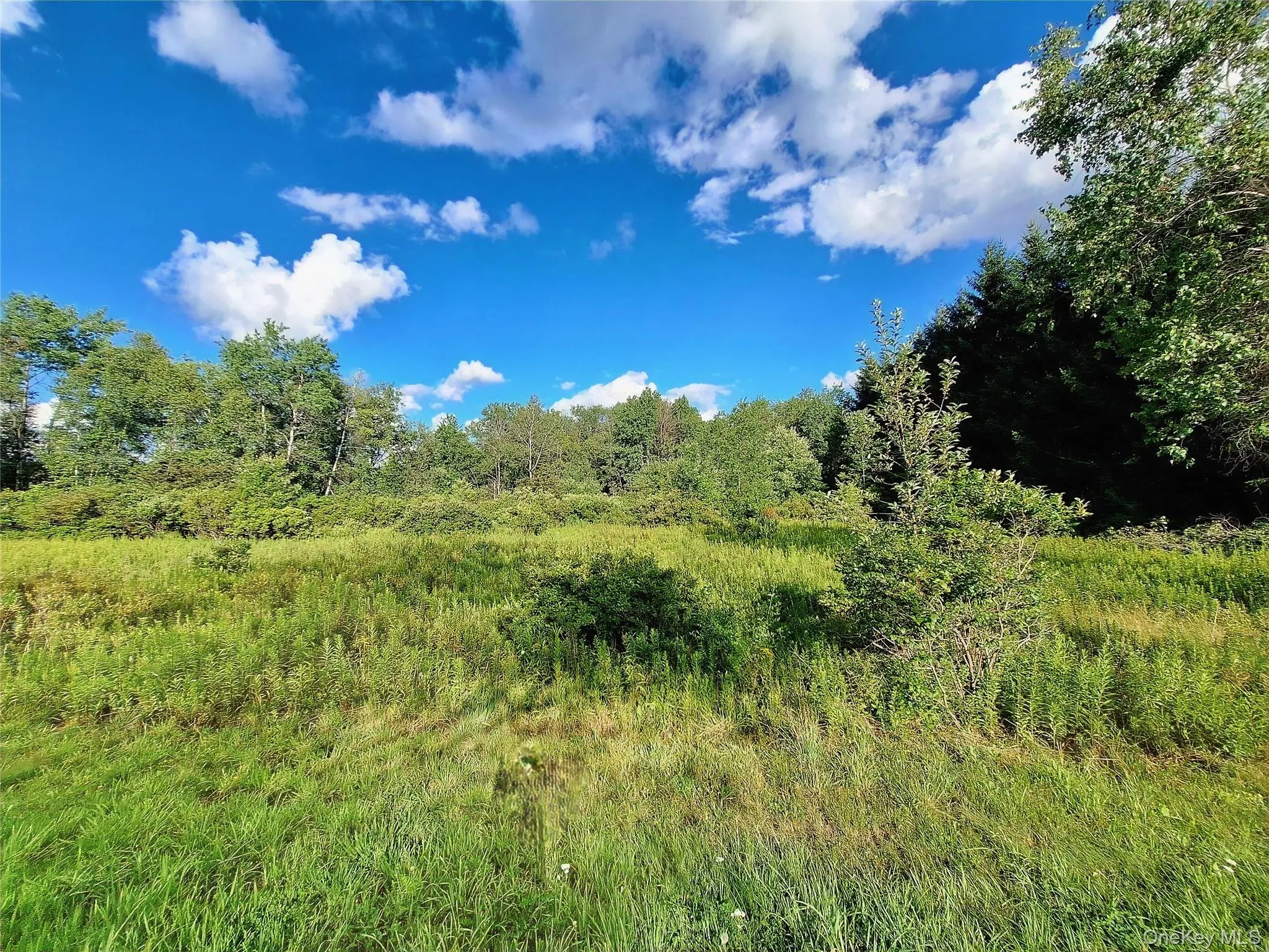 Burnt Ridge Road, Fallsburg, NY, ,Land,For Rent,Burnt Ridge,0,1035980 Burnt Ridge Road, Fallsburg, NY, ,Land,For Rent,Burnt Ridge,0,1035980