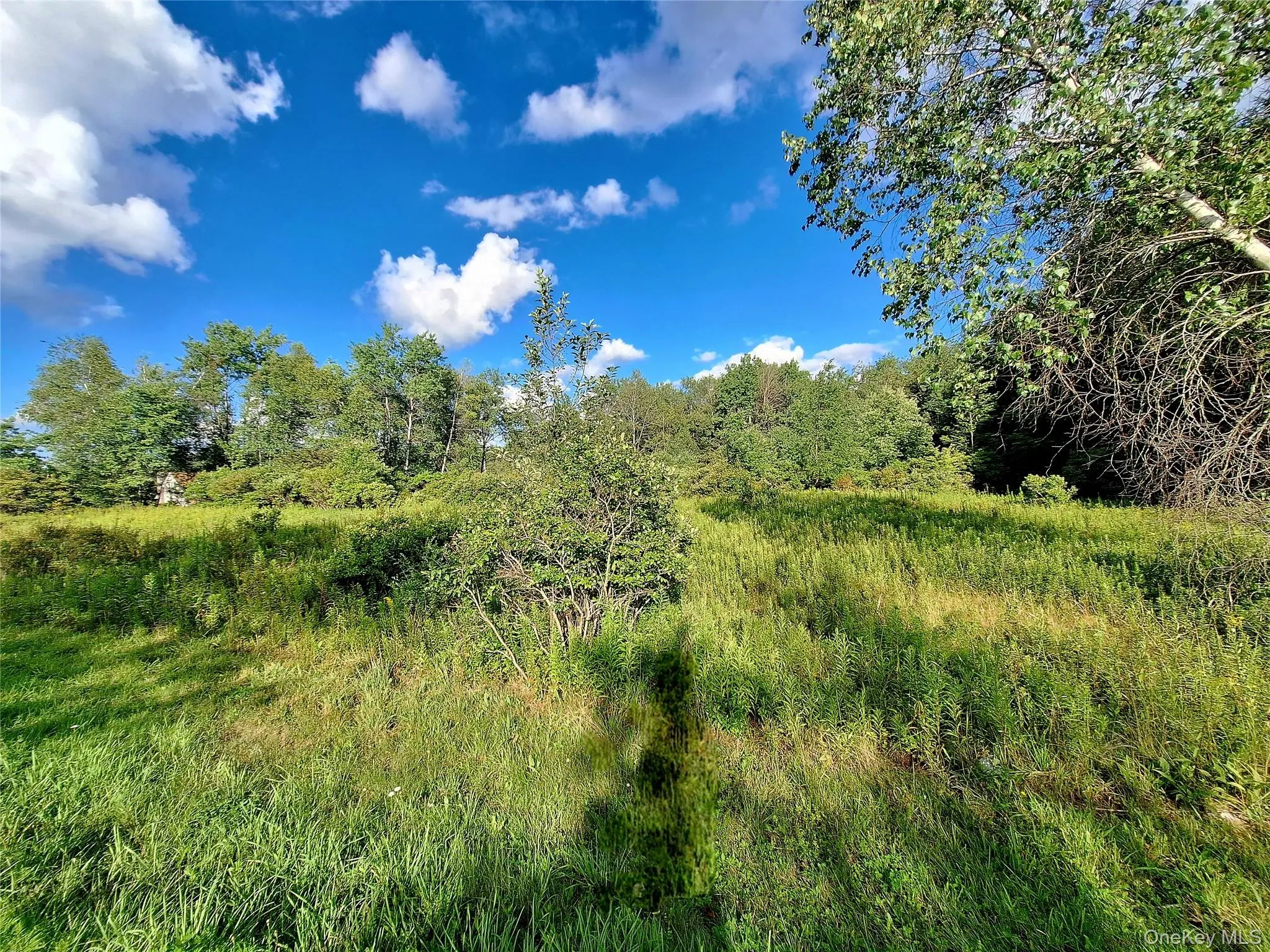 Burnt Ridge Road, Fallsburg, NY, ,Land,For Rent,Burnt Ridge,0,1035980 Burnt Ridge Road, Fallsburg, NY, ,Land,For Rent,Burnt Ridge,0,1035980