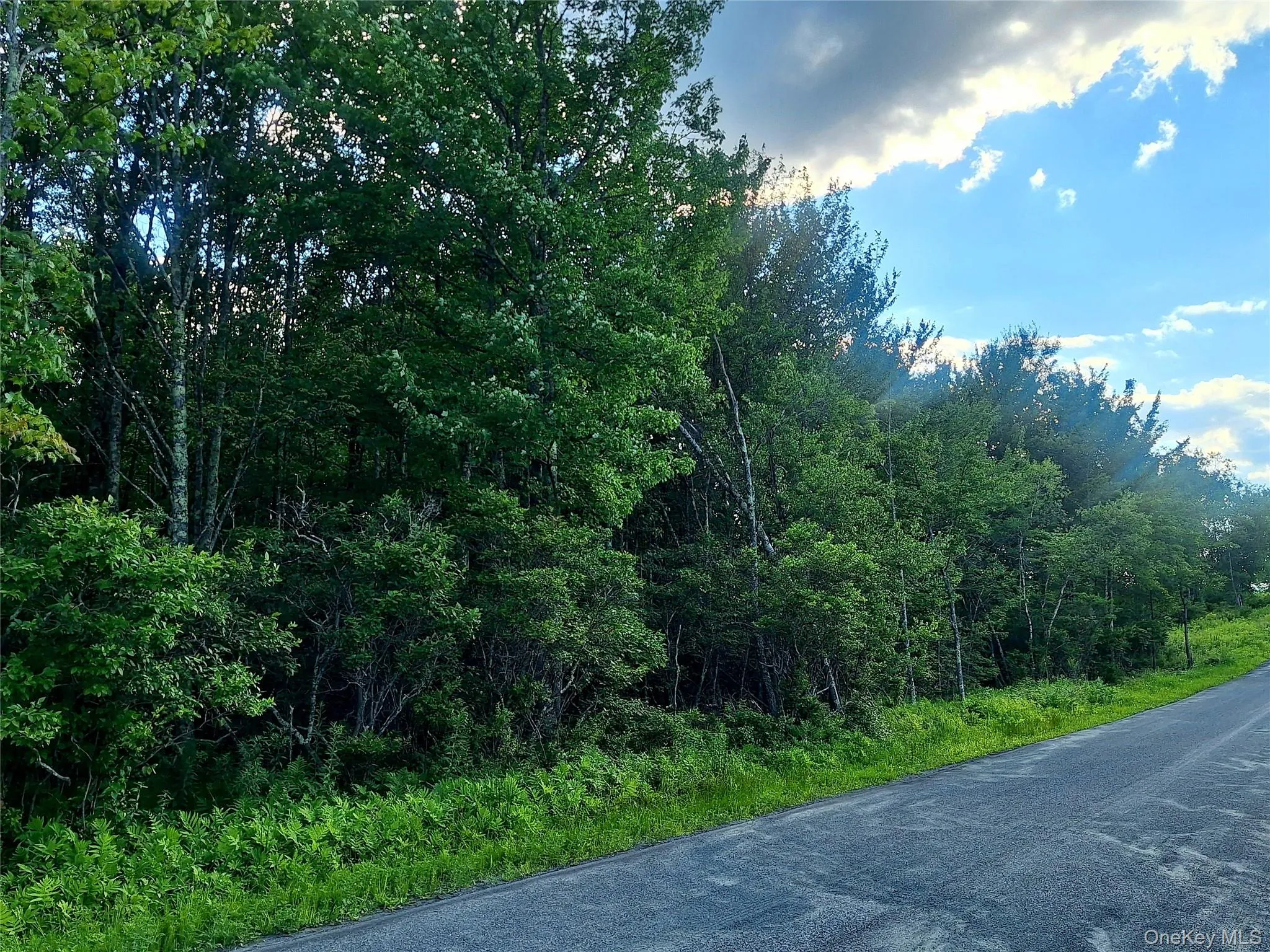 Burnt Ridge Road, Fallsburg, NY, ,Land,For Rent,Burnt Ridge,0,1035980 Burnt Ridge Road, Fallsburg, NY, ,Land,For Rent,Burnt Ridge,0,1035980