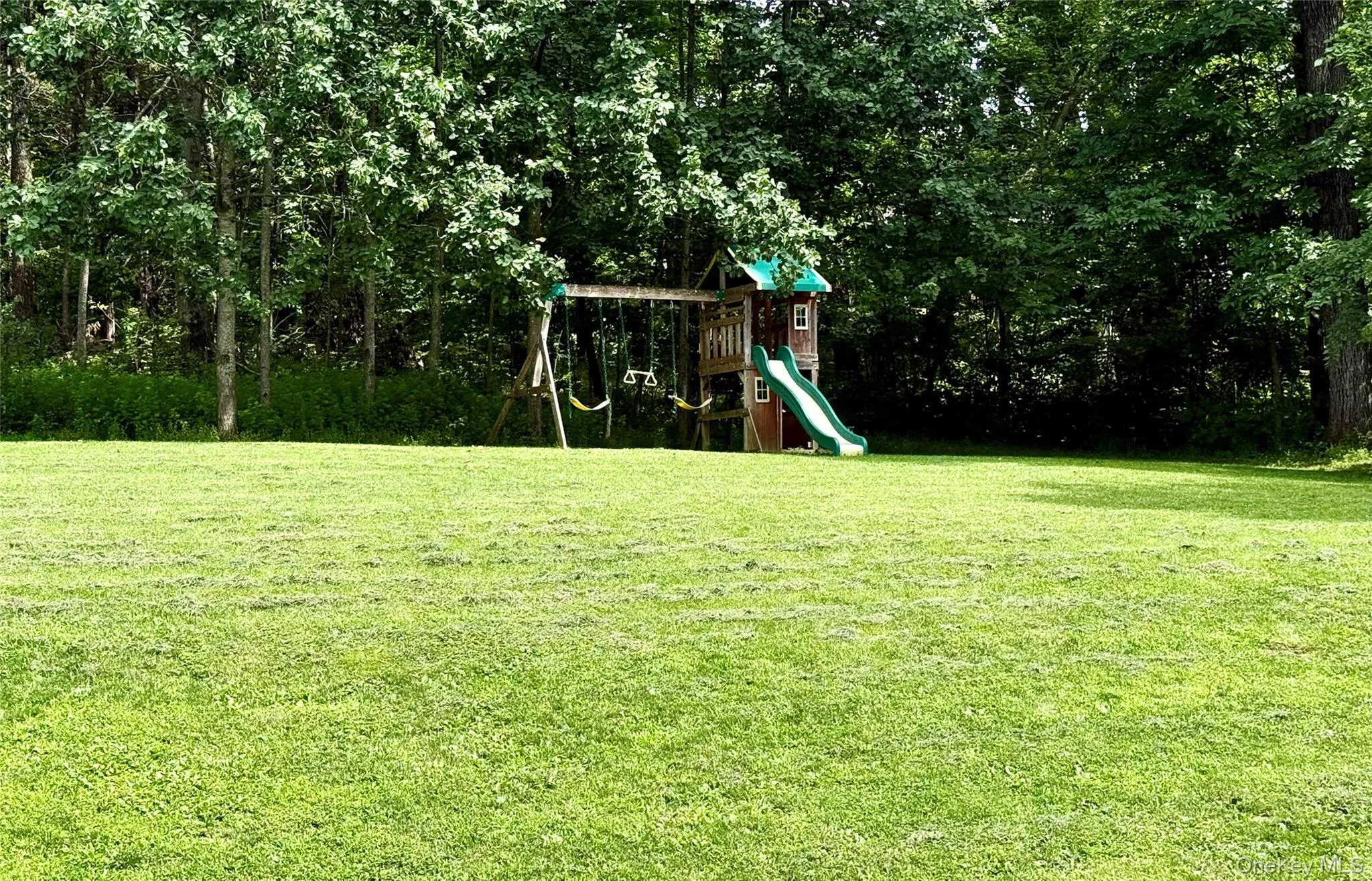 Swing set, fort & slide! Swing set, fort & slide!
