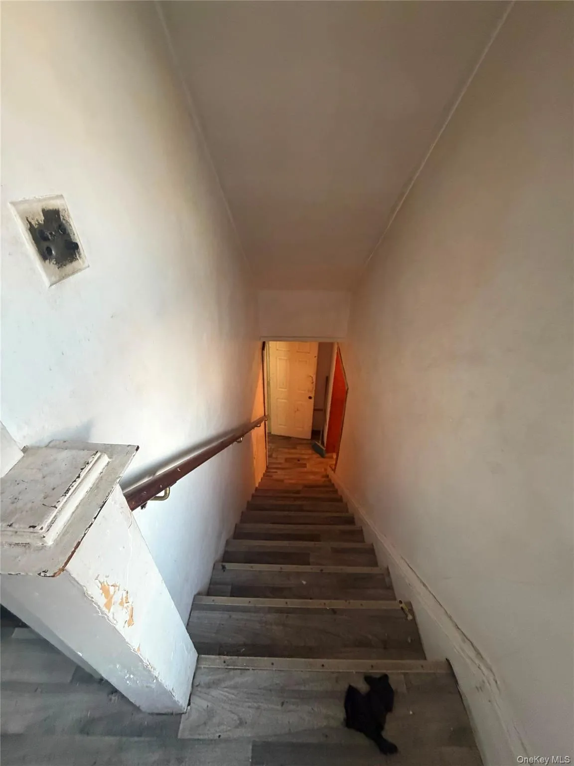 436 Dunham Avenue, Mount Vernon, NY, 3 Bedrooms Bedrooms, 7 Rooms Rooms,2 BathroomsBathrooms,Residential,For Rent,Dunham,0,1036057 436 Dunham Avenue, Mount Vernon, NY, 3 Bedrooms Bedrooms, 7 Rooms Rooms,2 BathroomsBathrooms,Residential,For Rent,Dunham,0,1036057