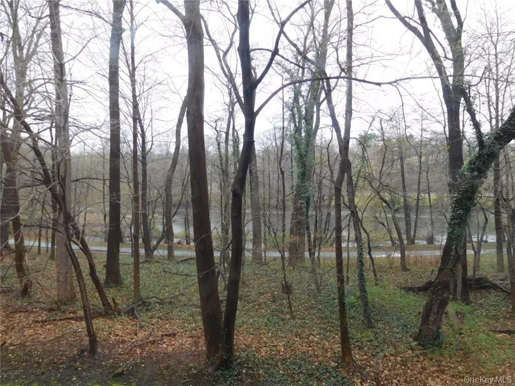 Rear Trails Rear Trails