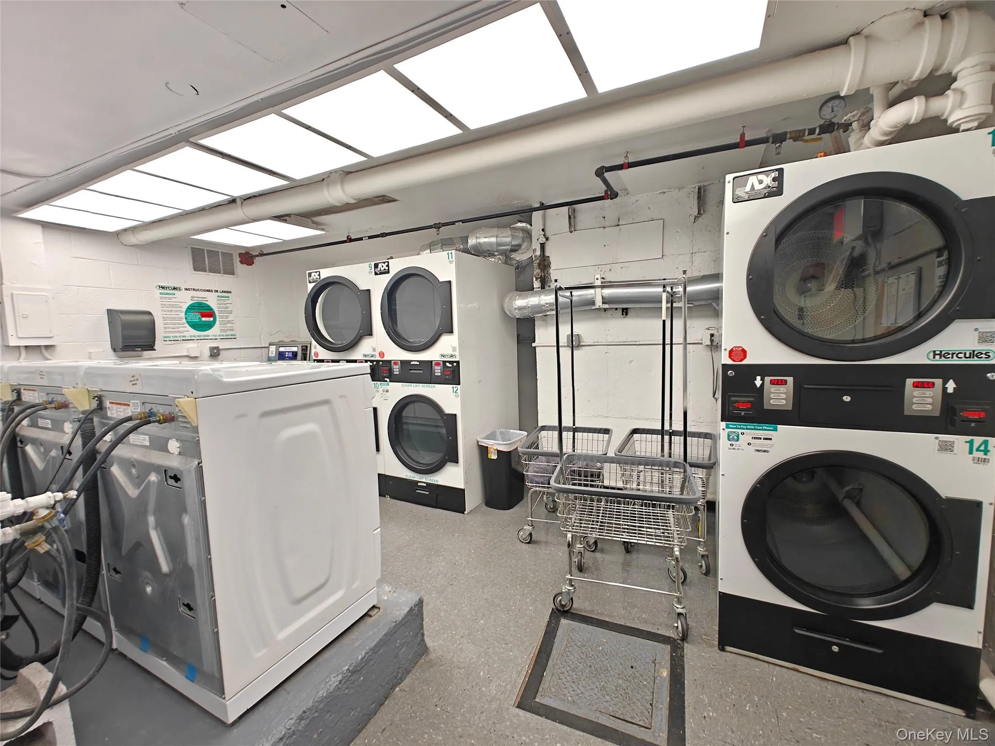 5425 Valles Avenue, New York, NY, 2 Bedrooms Bedrooms, 4 Rooms Rooms,1 BathroomBathrooms,Residential,For Rent,Valles,0,1036091 5425 Valles Avenue, New York, NY, 2 Bedrooms Bedrooms, 4 Rooms Rooms,1 BathroomBathrooms,Residential,For Rent,Valles,0,1036091