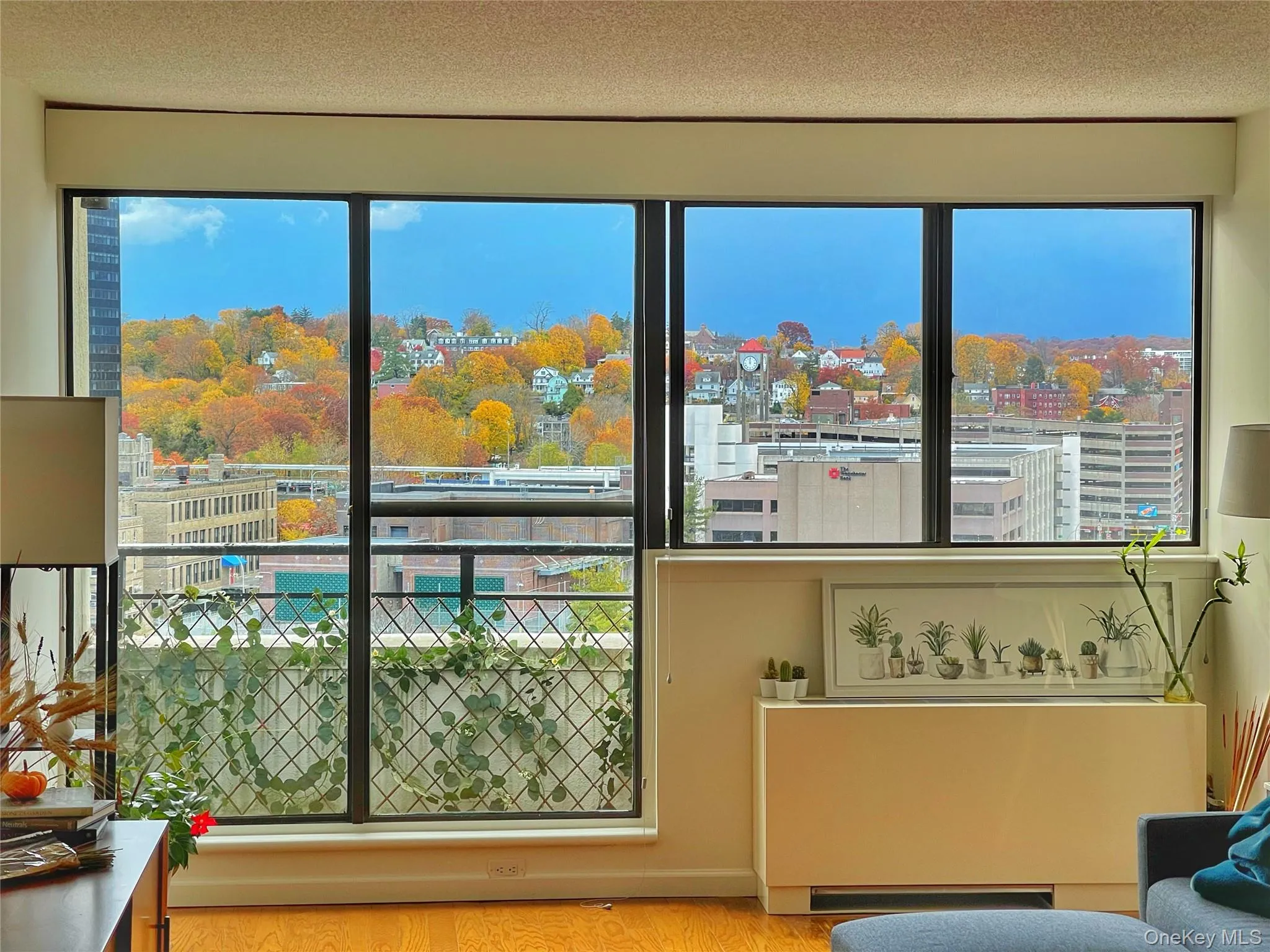 10 cottage place, White Plains, NY, 1 Bedroom Bedrooms, 3 Rooms Rooms,1 BathroomBathrooms,Residential Lease,For Rent,cottage place,0,1036112 10 cottage place, White Plains, NY, 1 Bedroom Bedrooms, 3 Rooms Rooms,1 BathroomBathrooms,Residential Lease,For Rent,cottage place,0,1036112