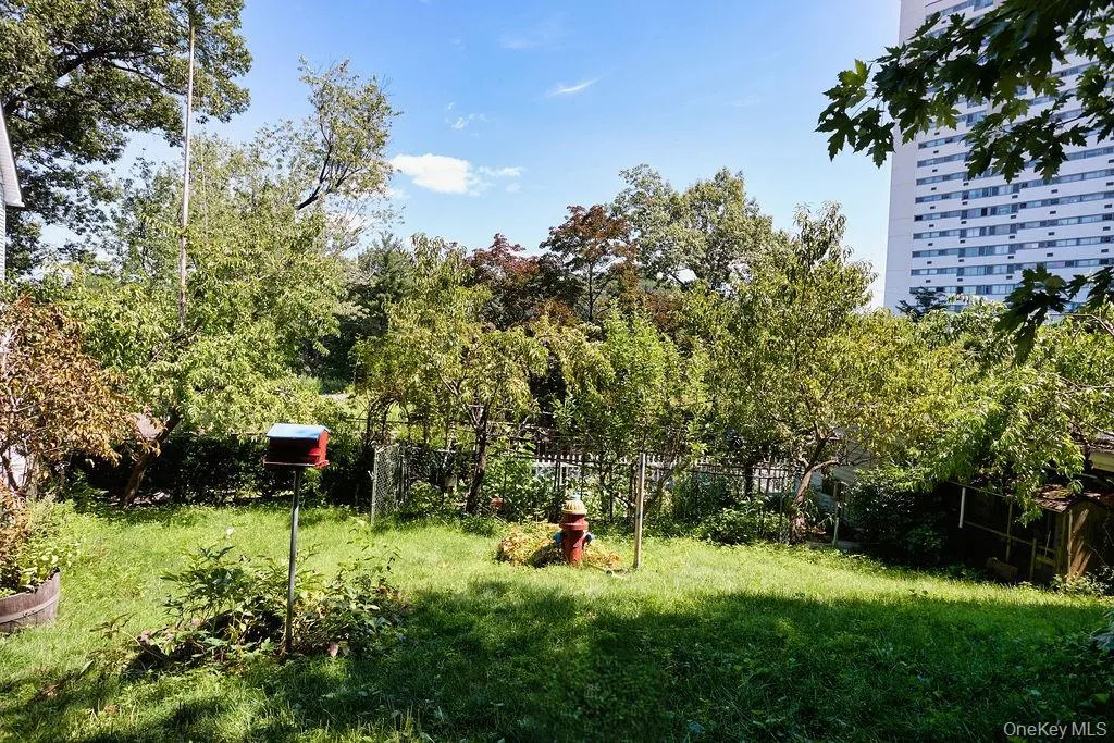 Back yard with fruit trees: peach, pear, plum, fig Back yard with fruit trees: peach, pear, plum, fig