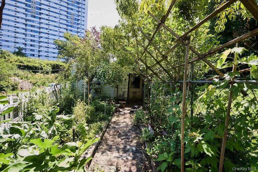 Veg.etable garden Veg.etable garden