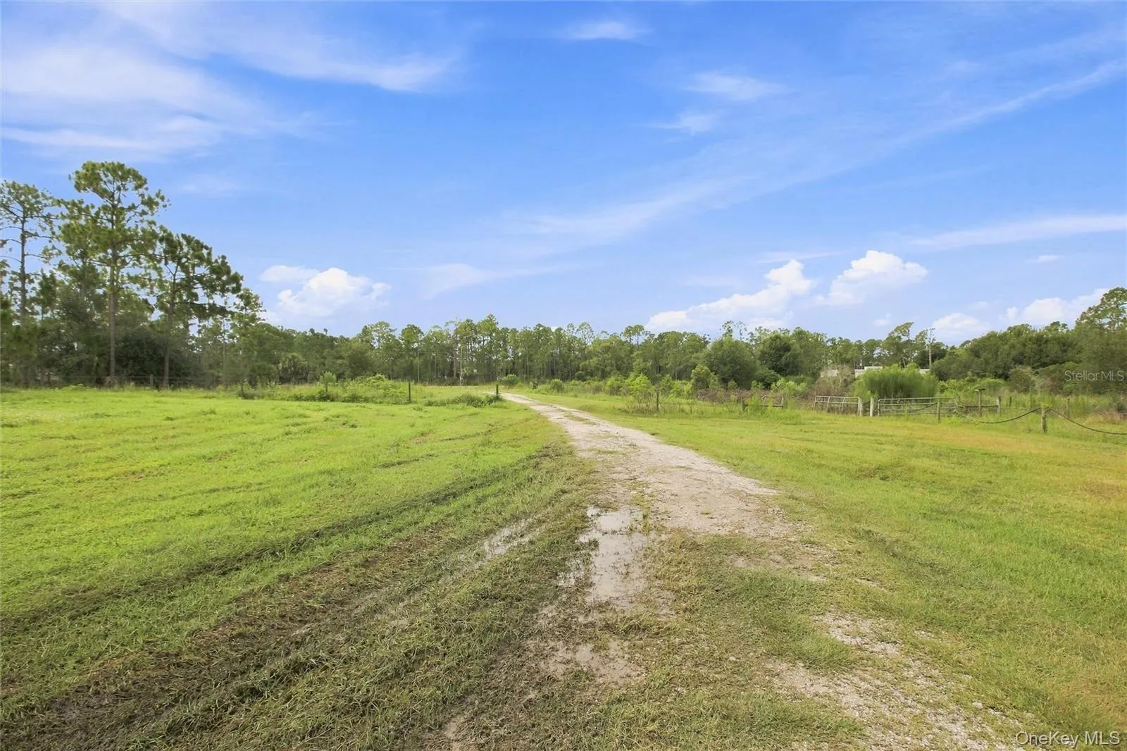 8146 Tropicaire, Out Of Area, FL, 3 Bedrooms Bedrooms, 10 Rooms Rooms,3 BathroomsBathrooms,Residential,For Rent,Tropicaire,0,1036137 8146 Tropicaire, Out Of Area, FL, 3 Bedrooms Bedrooms, 10 Rooms Rooms,3 BathroomsBathrooms,Residential,For Rent,Tropicaire,0,1036137