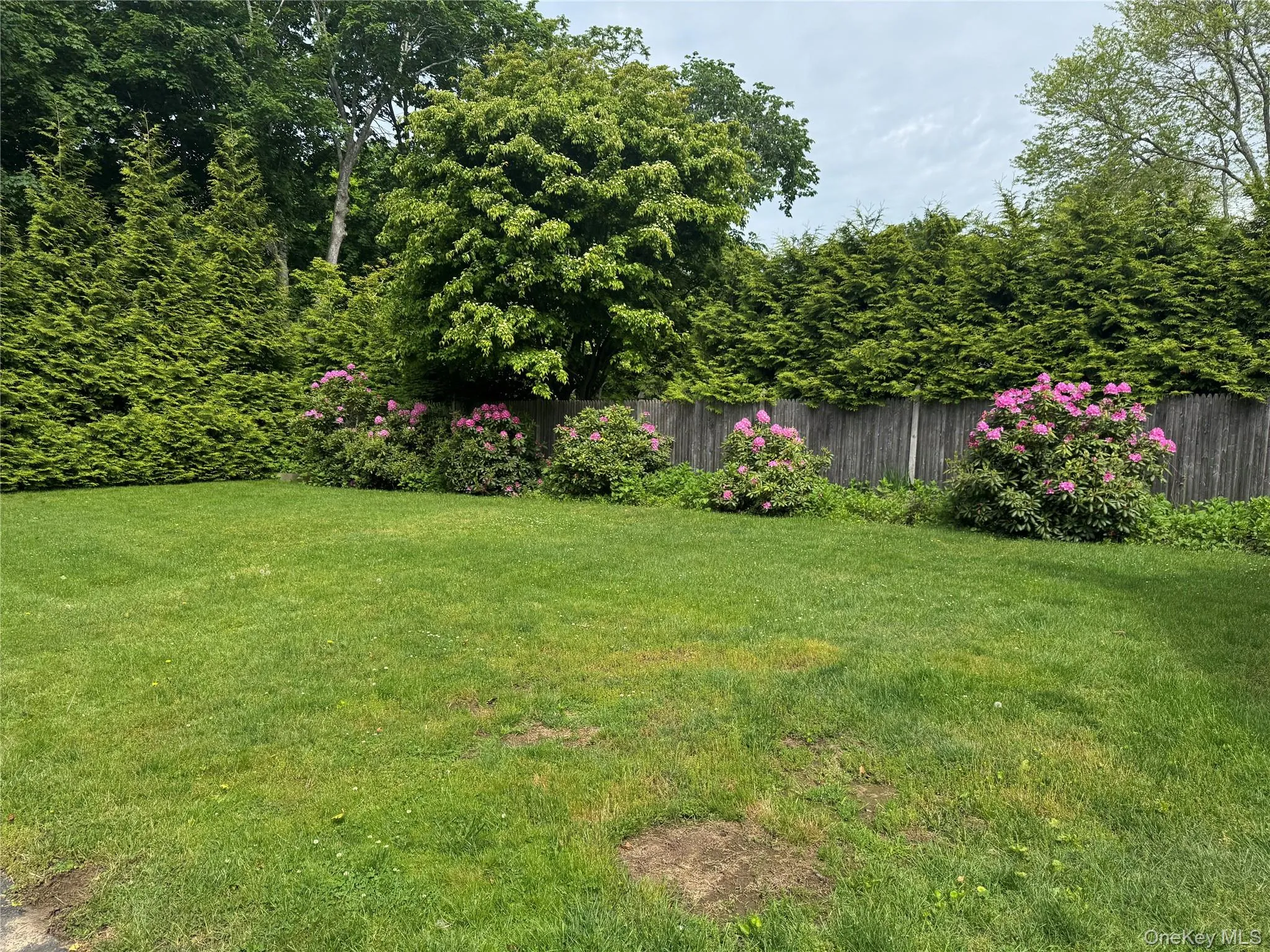21 Elm Street, Southampton, NY, 3 Bedrooms Bedrooms, 6 Rooms Rooms,2 BathroomsBathrooms,Residential Lease,For Rent,Elm Street,0,1036139 21 Elm Street, Southampton, NY, 3 Bedrooms Bedrooms, 6 Rooms Rooms,2 BathroomsBathrooms,Residential Lease,For Rent,Elm Street,0,1036139