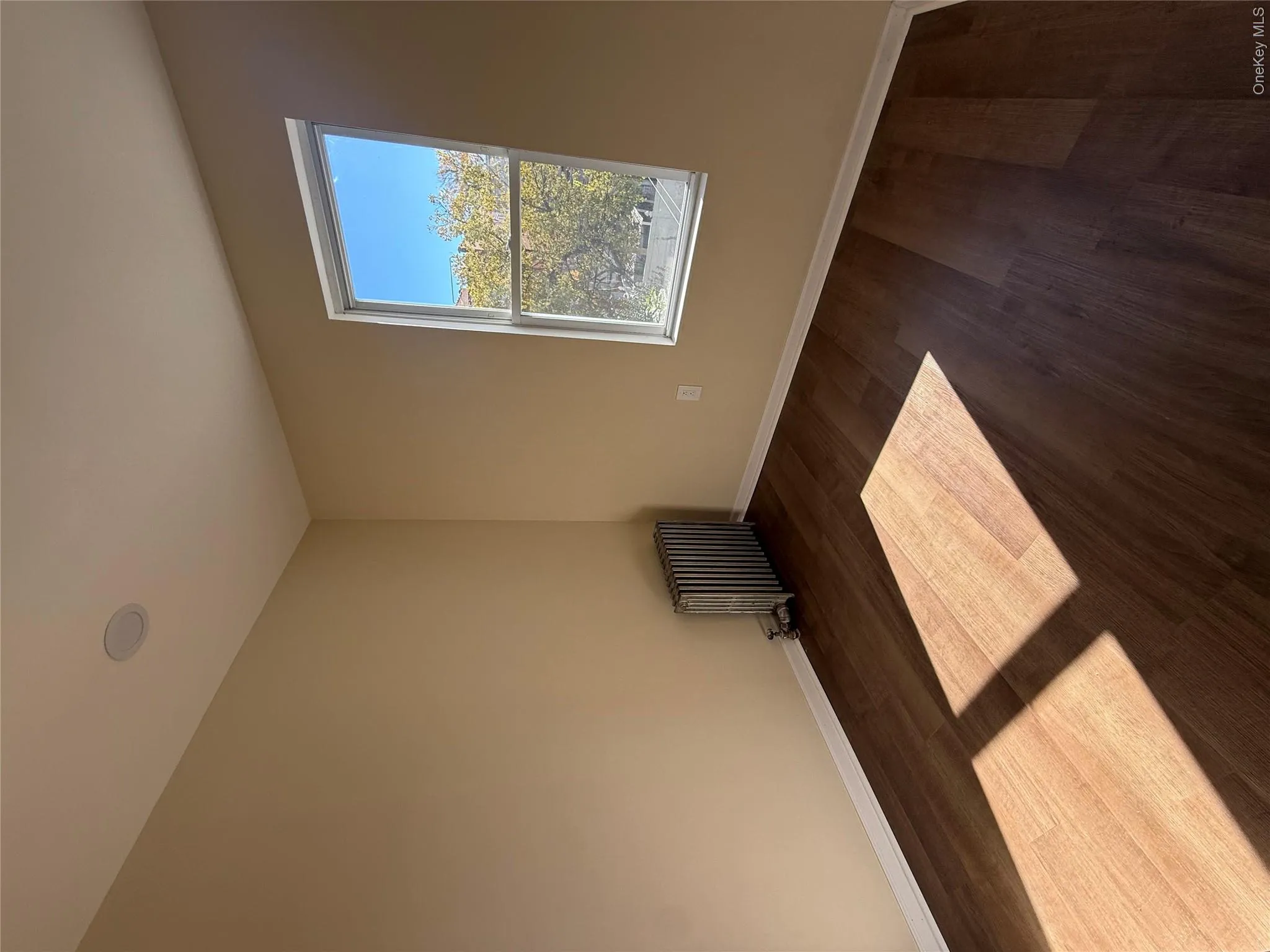 Spare room with radiator and dark wood-style flooring Spare room with radiator and dark wood-style flooring
