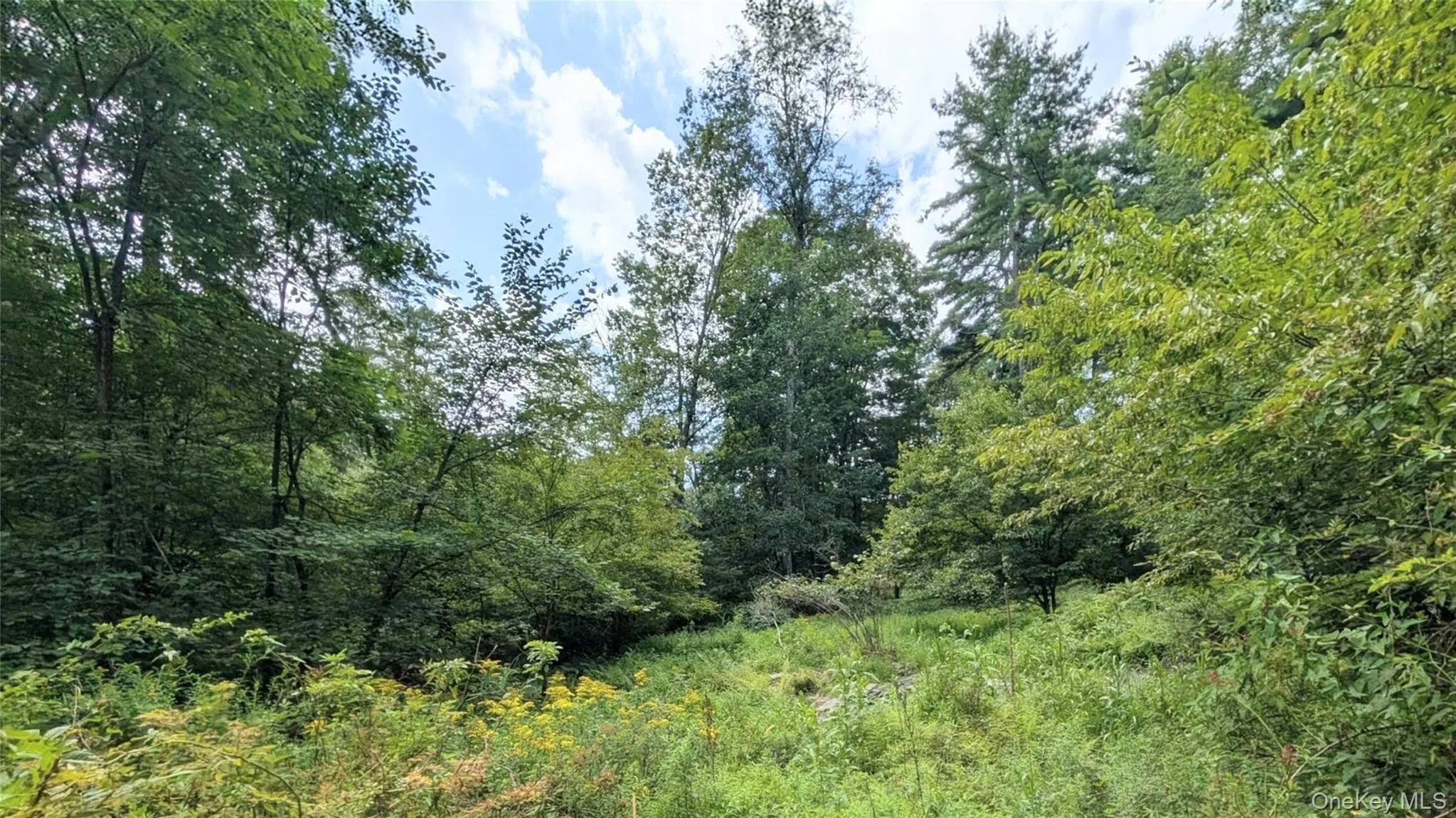 38 Hoffman Road, Tusten, NY, 3 Bedrooms Bedrooms, 5 Rooms Rooms,2 BathroomsBathrooms,Residential,For Rent,Hoffman,0,1036150 38 Hoffman Road, Tusten, NY, 3 Bedrooms Bedrooms, 5 Rooms Rooms,2 BathroomsBathrooms,Residential,For Rent,Hoffman,0,1036150