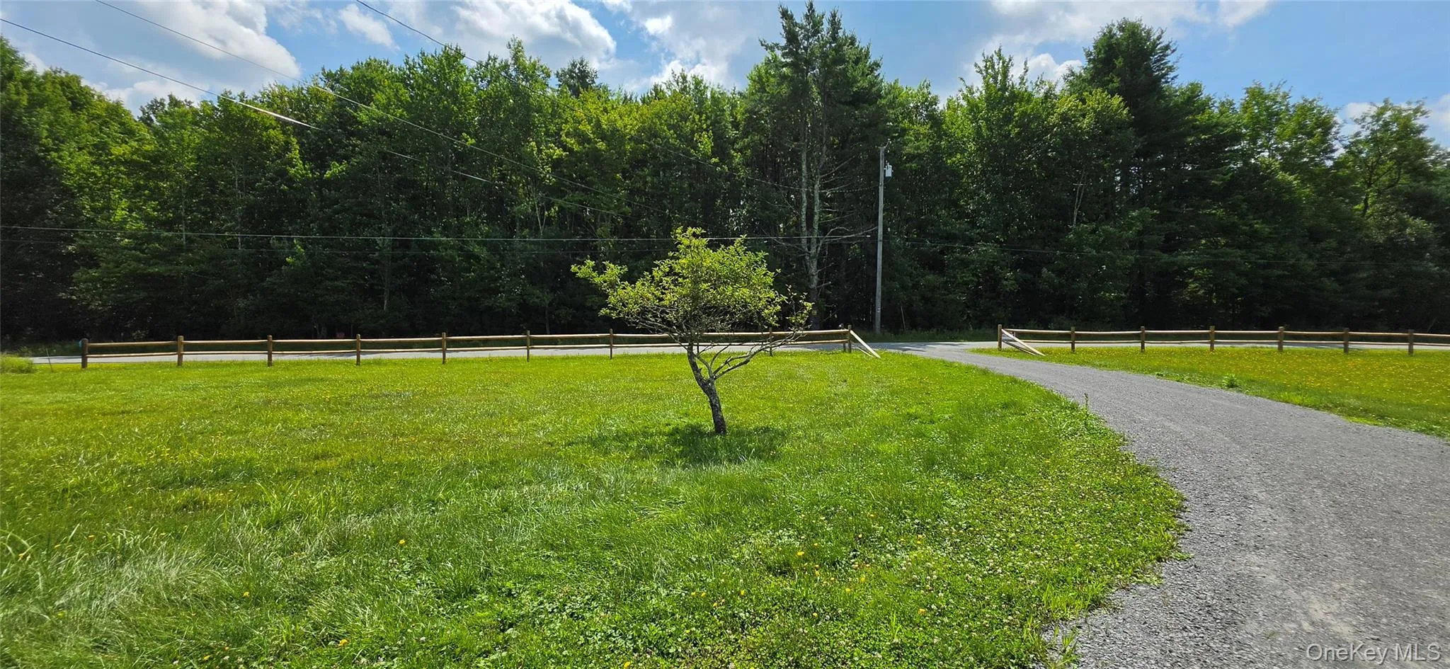 286 Shortcut Road, Cochecton, NY, 3 Bedrooms Bedrooms, 7 Rooms Rooms,2 BathroomsBathrooms,Residential Lease,For Rent,Shortcut,0,1036154 286 Shortcut Road, Cochecton, NY, 3 Bedrooms Bedrooms, 7 Rooms Rooms,2 BathroomsBathrooms,Residential Lease,For Rent,Shortcut,0,1036154