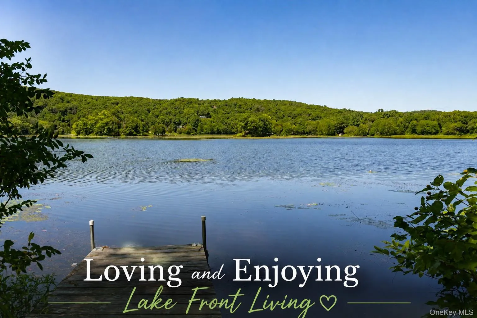 31 Lake Shore Drive, Pine Plains, NY, 1 Bedroom Bedrooms, 6 Rooms Rooms,1 BathroomBathrooms,Residential,For Rent,Lake Shore,0,1036155 31 Lake Shore Drive, Pine Plains, NY, 1 Bedroom Bedrooms, 6 Rooms Rooms,1 BathroomBathrooms,Residential,For Rent,Lake Shore,0,1036155