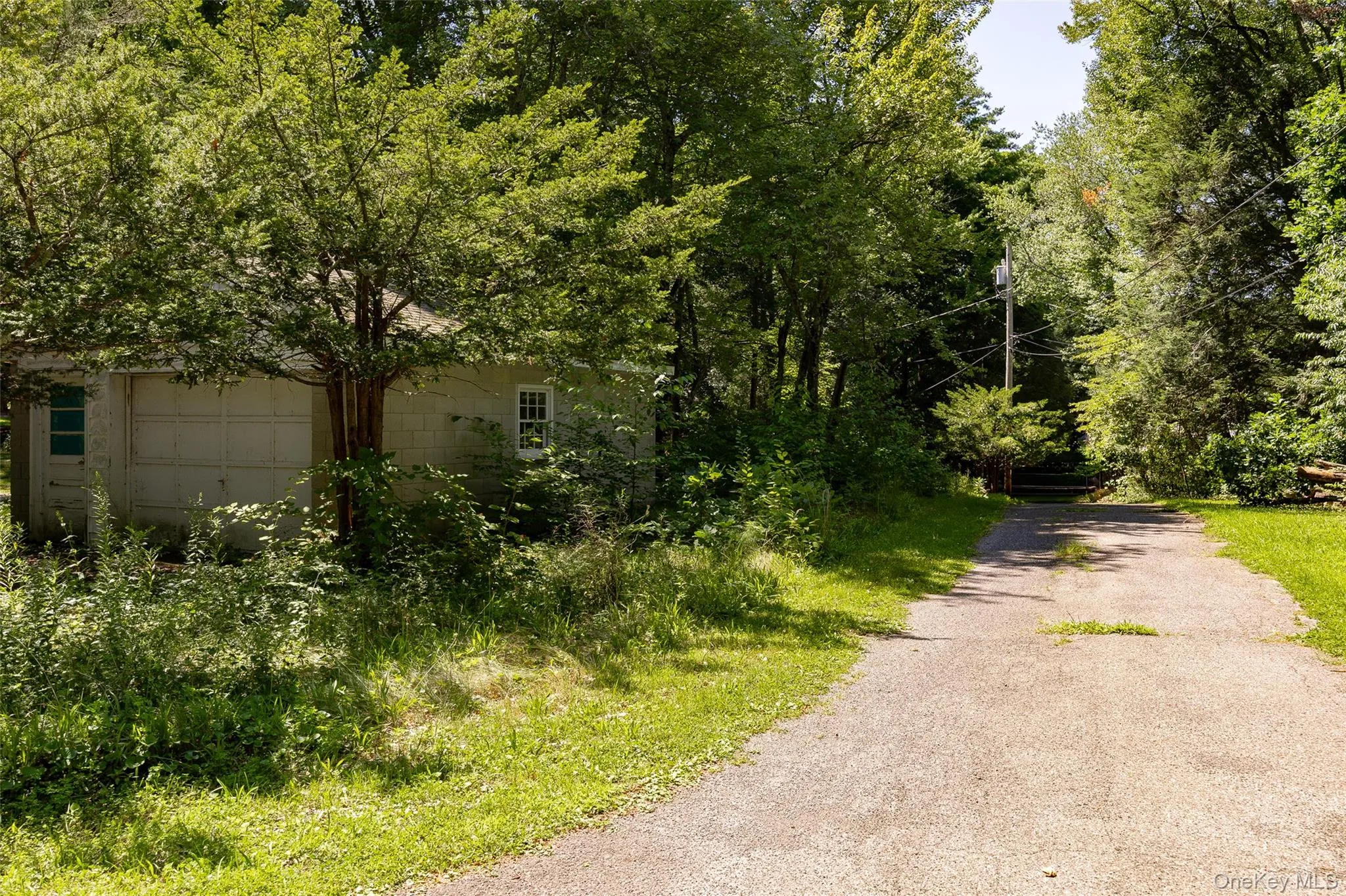 31 Lake Shore Drive, Pine Plains, NY, 1 Bedroom Bedrooms, 6 Rooms Rooms,1 BathroomBathrooms,Residential,For Rent,Lake Shore,0,1036155 31 Lake Shore Drive, Pine Plains, NY, 1 Bedroom Bedrooms, 6 Rooms Rooms,1 BathroomBathrooms,Residential,For Rent,Lake Shore,0,1036155