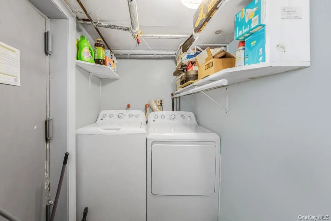 1363 Albany Avenue, New York, NY, 3 Bedrooms Bedrooms, 7 Rooms Rooms,2 BathroomsBathrooms,Residential,For Rent,Albany,0,1036171 1363 Albany Avenue, New York, NY, 3 Bedrooms Bedrooms, 7 Rooms Rooms,2 BathroomsBathrooms,Residential,For Rent,Albany,0,1036171