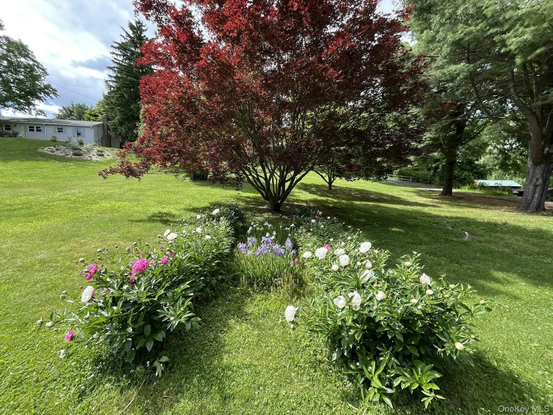 35 Hapeman Hill Road, Red Hook, NY, 4 Bedrooms Bedrooms, 10 Rooms Rooms,2 BathroomsBathrooms,Residential,For Rent,Hapeman Hill,0,1036173 35 Hapeman Hill Road, Red Hook, NY, 4 Bedrooms Bedrooms, 10 Rooms Rooms,2 BathroomsBathrooms,Residential,For Rent,Hapeman Hill,0,1036173
