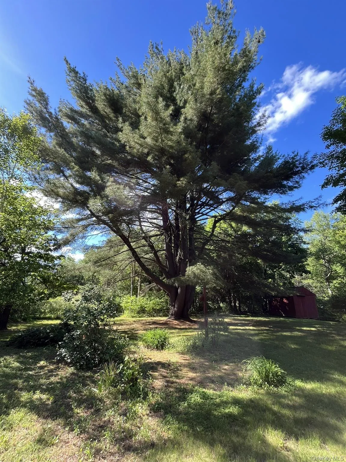 35 Hapeman Hill Road, Red Hook, NY, 4 Bedrooms Bedrooms, 10 Rooms Rooms,2 BathroomsBathrooms,Residential,For Rent,Hapeman Hill,0,1036173 35 Hapeman Hill Road, Red Hook, NY, 4 Bedrooms Bedrooms, 10 Rooms Rooms,2 BathroomsBathrooms,Residential,For Rent,Hapeman Hill,0,1036173