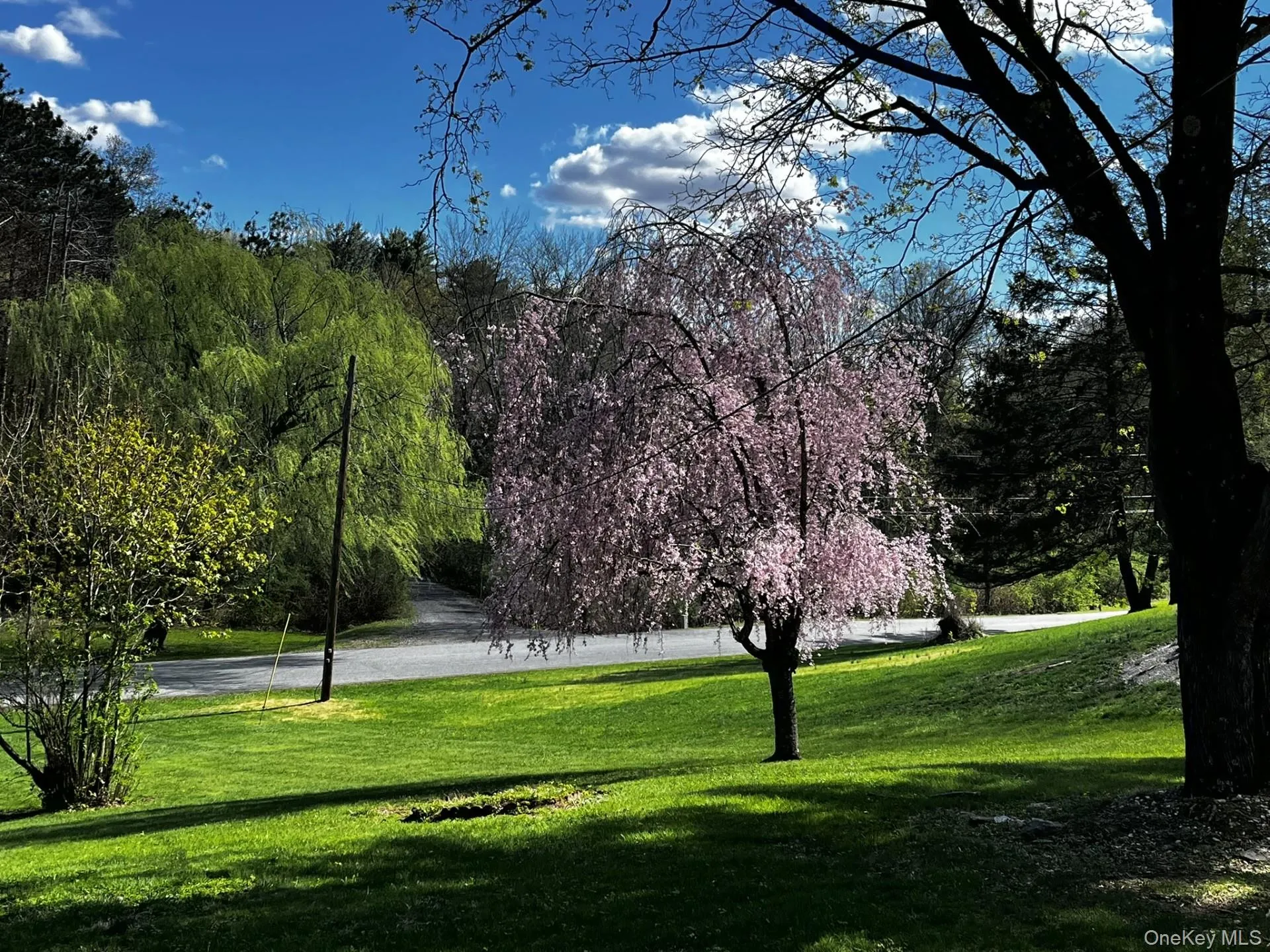 35 Hapeman Hill Road, Red Hook, NY, 4 Bedrooms Bedrooms, 10 Rooms Rooms,2 BathroomsBathrooms,Residential,For Rent,Hapeman Hill,0,1036173 35 Hapeman Hill Road, Red Hook, NY, 4 Bedrooms Bedrooms, 10 Rooms Rooms,2 BathroomsBathrooms,Residential,For Rent,Hapeman Hill,0,1036173