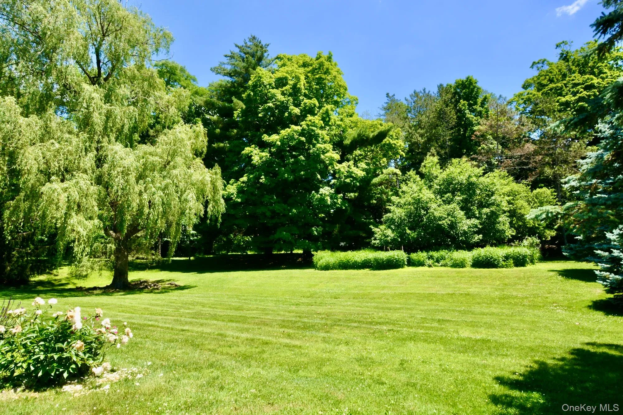 12 Ciferri Drive, Washington, NY, 4 Bedrooms Bedrooms, 7 Rooms Rooms,2 BathroomsBathrooms,Residential,For Rent,Ciferri,0,1036190 12 Ciferri Drive, Washington, NY, 4 Bedrooms Bedrooms, 7 Rooms Rooms,2 BathroomsBathrooms,Residential,For Rent,Ciferri,0,1036190