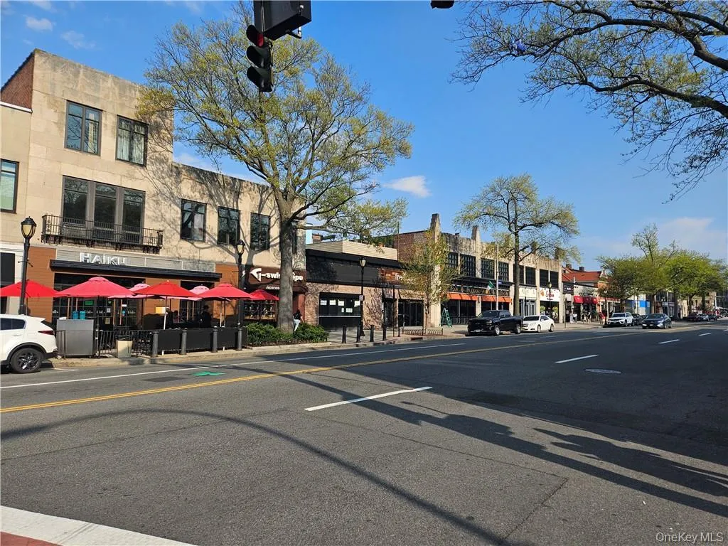 Mamaroneck Ave is the life of White Plains, just one block away Mamaroneck Ave is the life of White Plains, just one block away