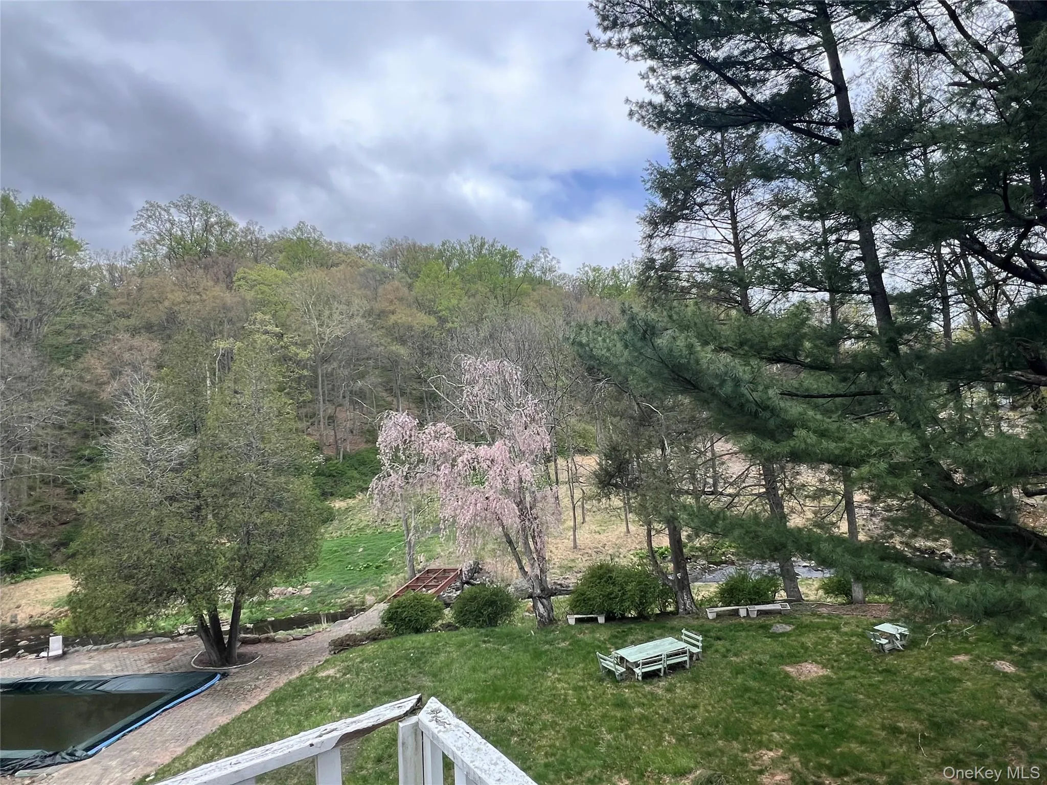 View of yard featuring a view of trees View of yard featuring a view of trees