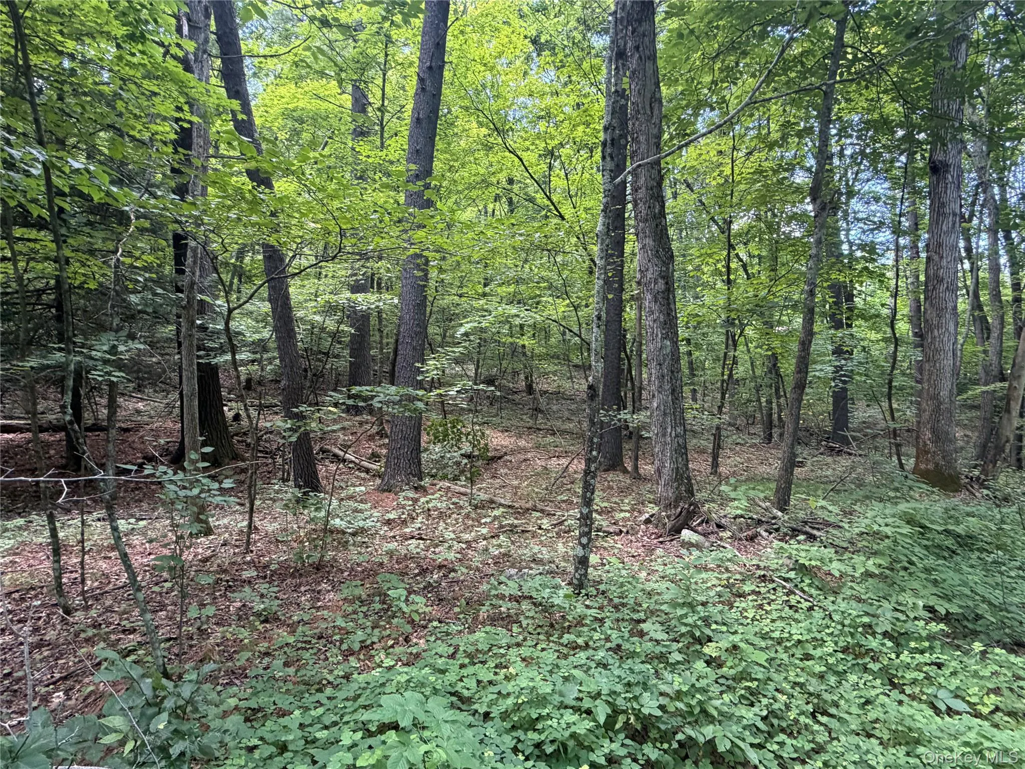 463 Main Street, Saugerties, NY, 4 Bedrooms Bedrooms, 8 Rooms Rooms,2 BathroomsBathrooms,Residential,For Rent,Main,0,1036223 463 Main Street, Saugerties, NY, 4 Bedrooms Bedrooms, 8 Rooms Rooms,2 BathroomsBathrooms,Residential,For Rent,Main,0,1036223
