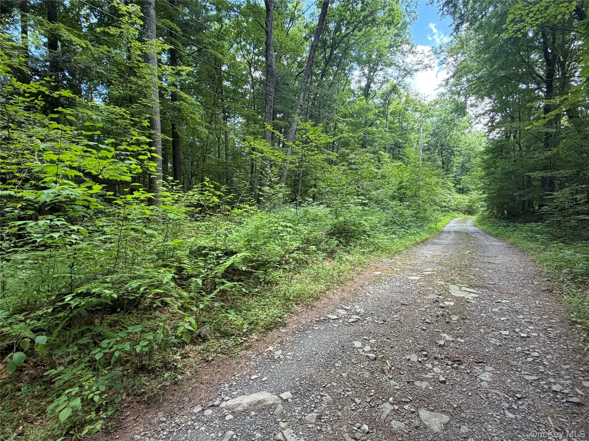 463 Main Street, Saugerties, NY, 4 Bedrooms Bedrooms, 8 Rooms Rooms,2 BathroomsBathrooms,Residential,For Rent,Main,0,1036223 463 Main Street, Saugerties, NY, 4 Bedrooms Bedrooms, 8 Rooms Rooms,2 BathroomsBathrooms,Residential,For Rent,Main,0,1036223
