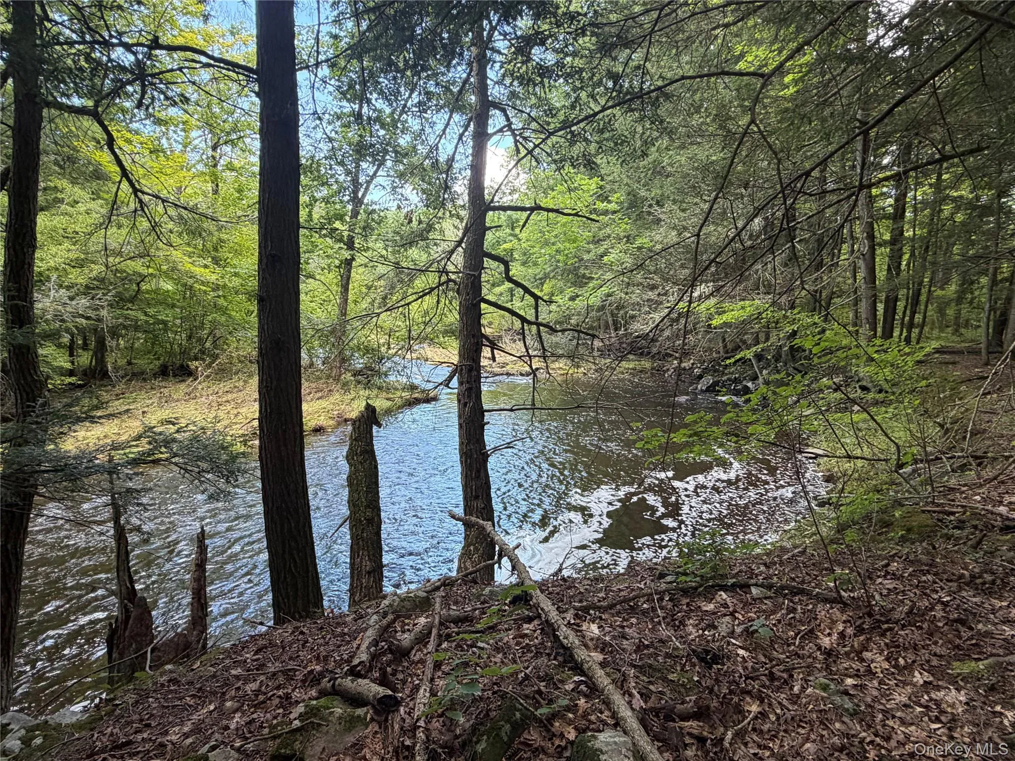 463 Main Street, Saugerties, NY, 4 Bedrooms Bedrooms, 8 Rooms Rooms,2 BathroomsBathrooms,Residential,For Rent,Main,0,1036223 463 Main Street, Saugerties, NY, 4 Bedrooms Bedrooms, 8 Rooms Rooms,2 BathroomsBathrooms,Residential,For Rent,Main,0,1036223