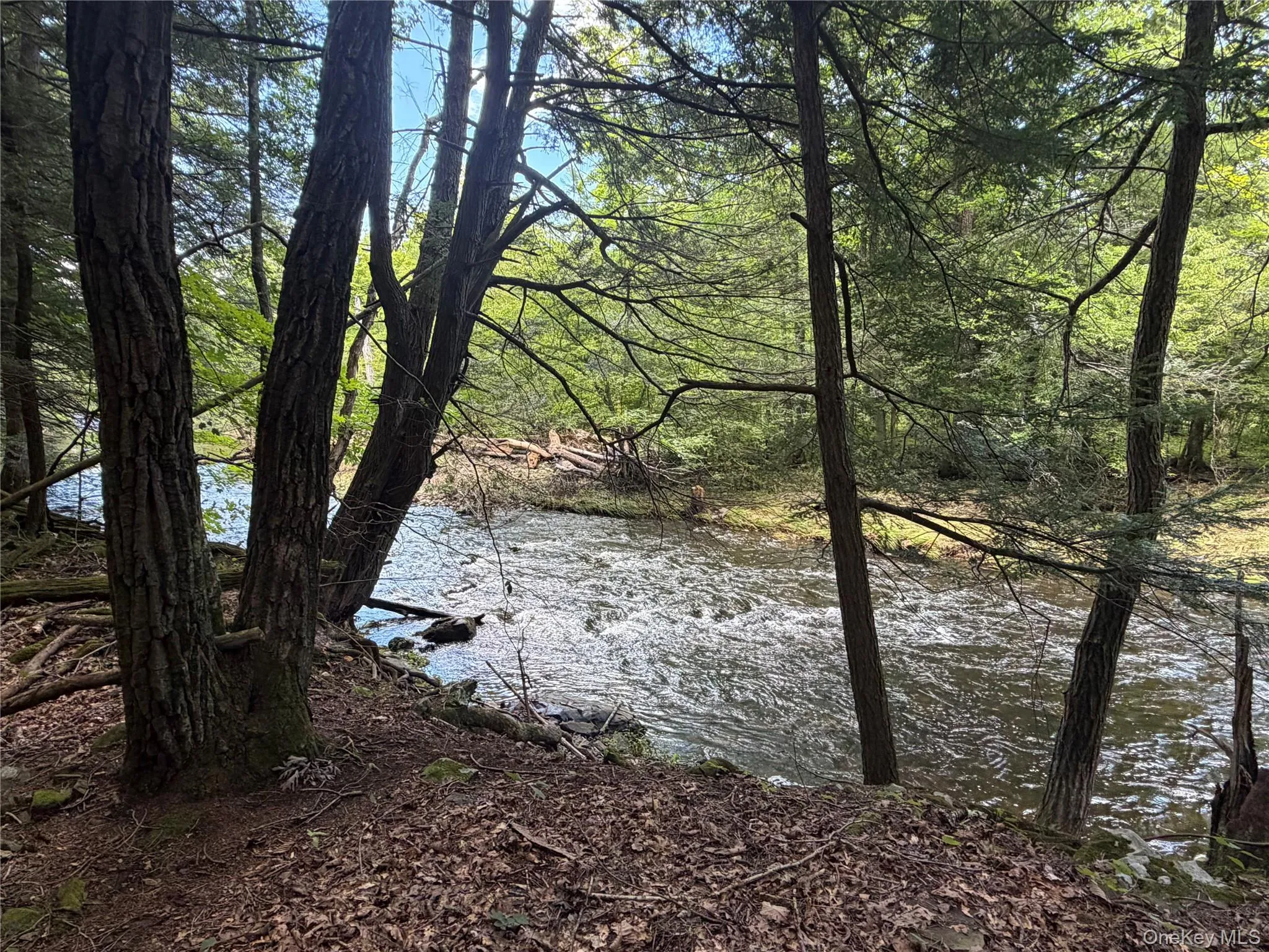463 Main Street, Saugerties, NY, 4 Bedrooms Bedrooms, 8 Rooms Rooms,2 BathroomsBathrooms,Residential,For Rent,Main,0,1036223 463 Main Street, Saugerties, NY, 4 Bedrooms Bedrooms, 8 Rooms Rooms,2 BathroomsBathrooms,Residential,For Rent,Main,0,1036223