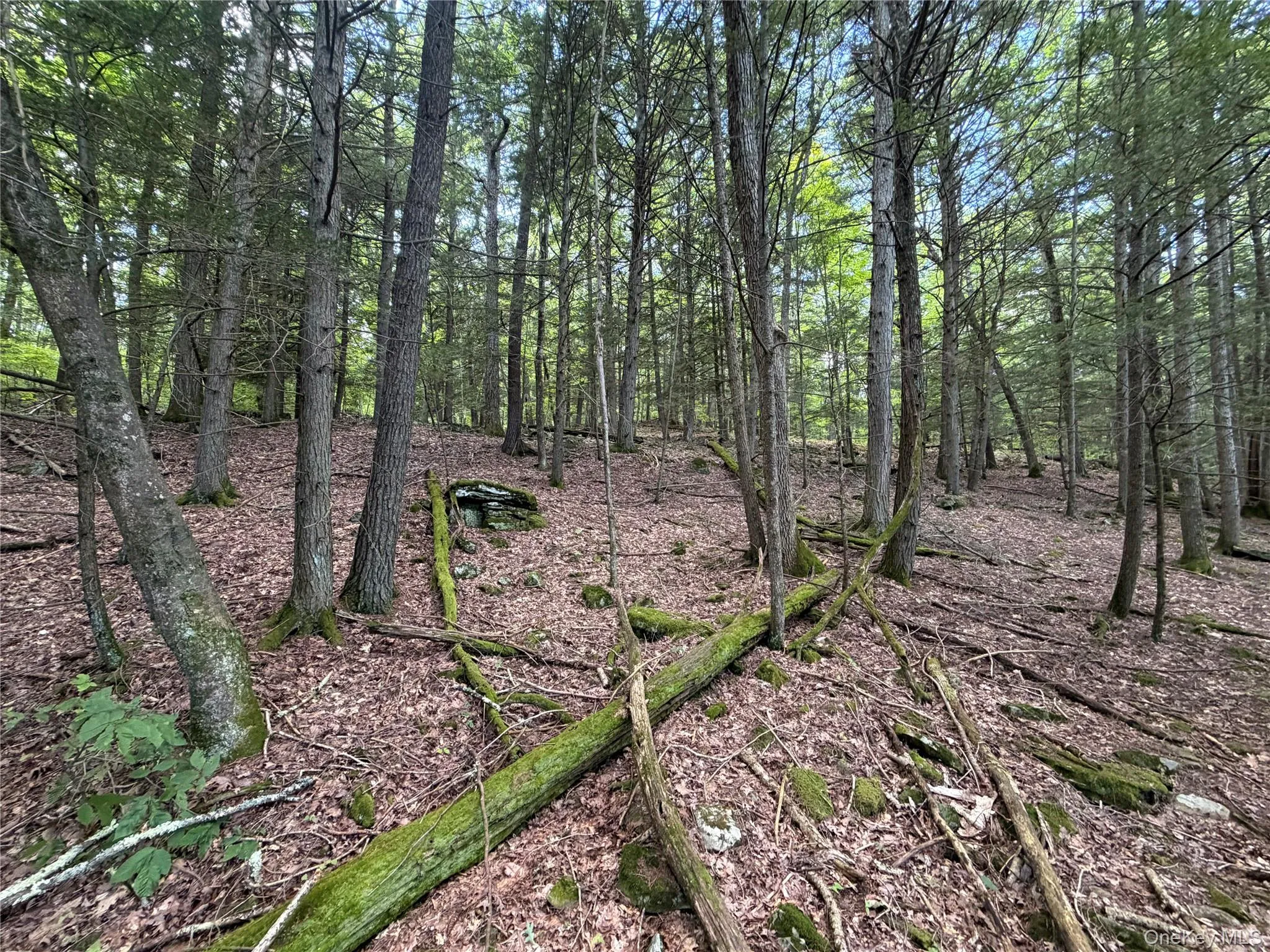 463 Main Street, Saugerties, NY, 4 Bedrooms Bedrooms, 8 Rooms Rooms,2 BathroomsBathrooms,Residential,For Rent,Main,0,1036223 463 Main Street, Saugerties, NY, 4 Bedrooms Bedrooms, 8 Rooms Rooms,2 BathroomsBathrooms,Residential,For Rent,Main,0,1036223