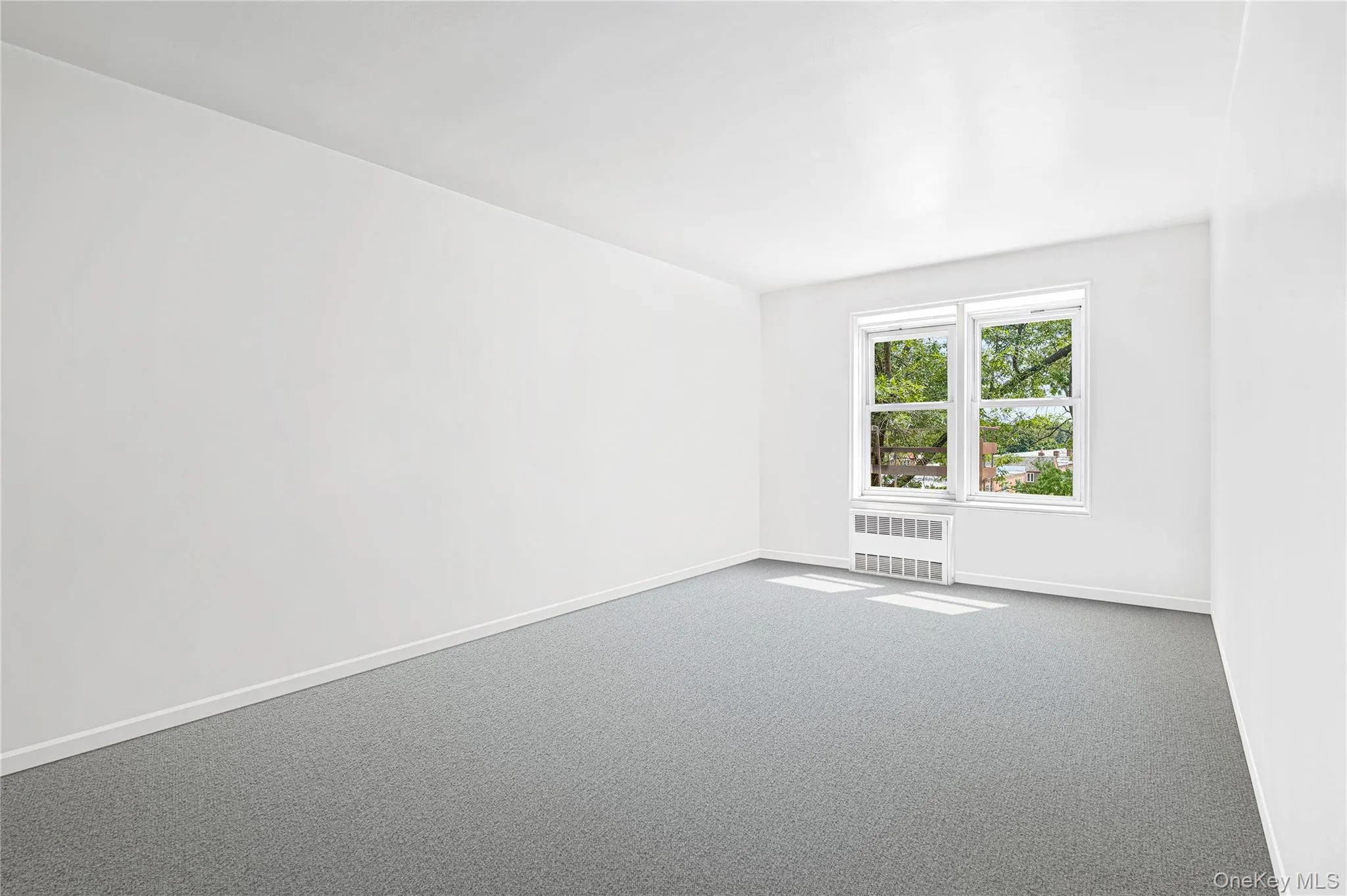 Expansive room featuring light gray carpeting and a double window Expansive room featuring light gray carpeting and a double window