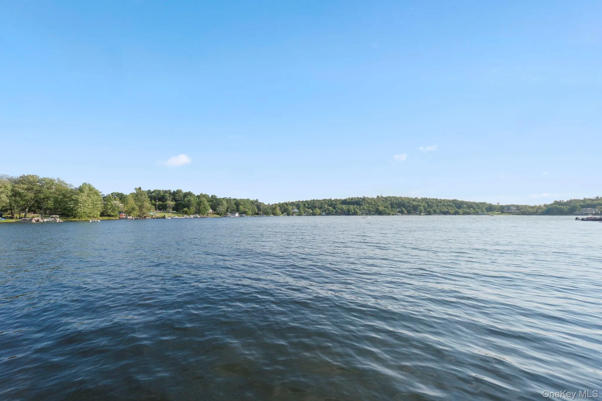 View of the lake. View of the lake.