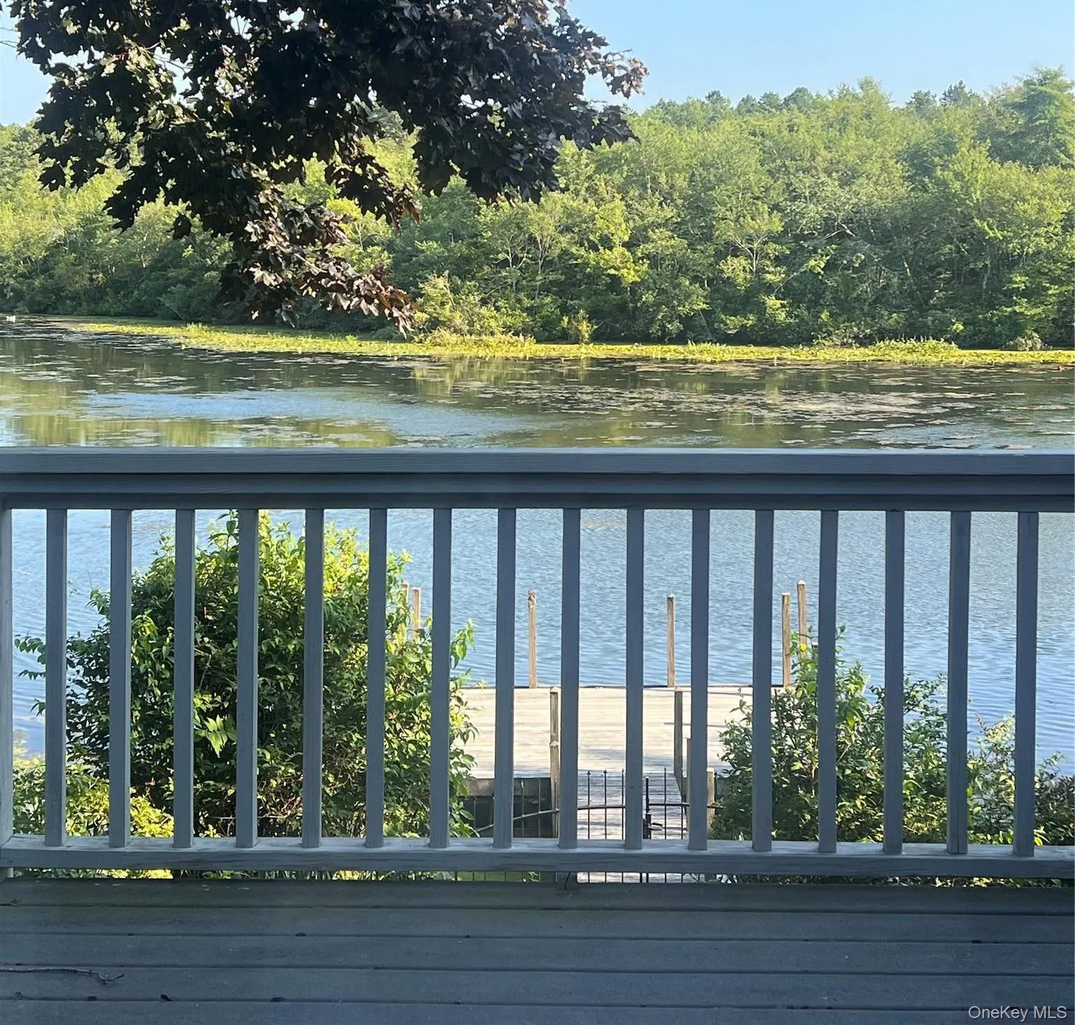 1375 Main Street, Riverhead, NY, 2 Bedrooms Bedrooms, 5 Rooms Rooms,1 BathroomBathrooms,Residential Lease,For Rent,Main,0,1036238 1375 Main Street, Riverhead, NY, 2 Bedrooms Bedrooms, 5 Rooms Rooms,1 BathroomBathrooms,Residential Lease,For Rent,Main,0,1036238