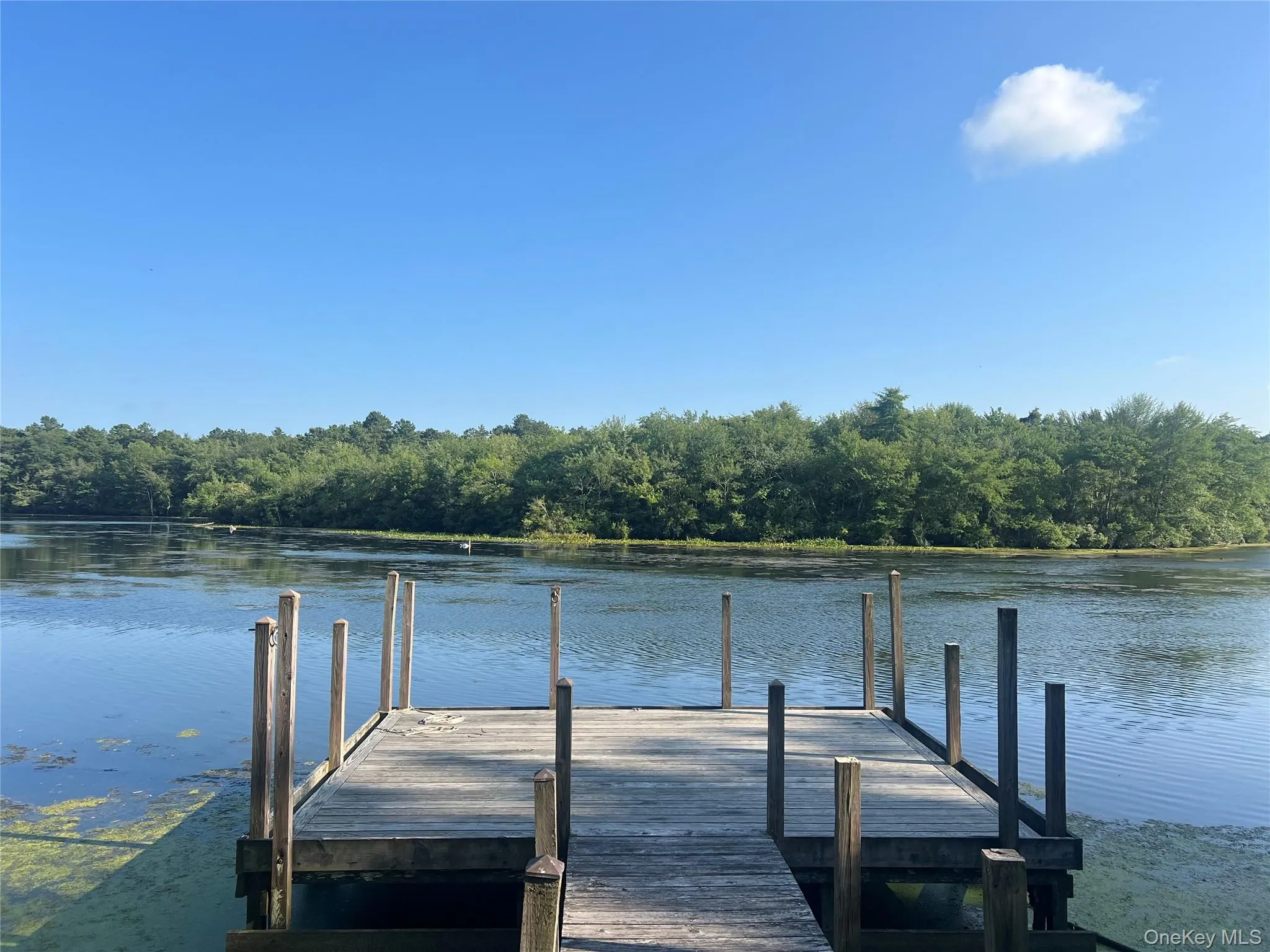 1375 Main Street, Riverhead, NY, 2 Bedrooms Bedrooms, 5 Rooms Rooms,1 BathroomBathrooms,Residential Lease,For Rent,Main,0,1036238 1375 Main Street, Riverhead, NY, 2 Bedrooms Bedrooms, 5 Rooms Rooms,1 BathroomBathrooms,Residential Lease,For Rent,Main,0,1036238
