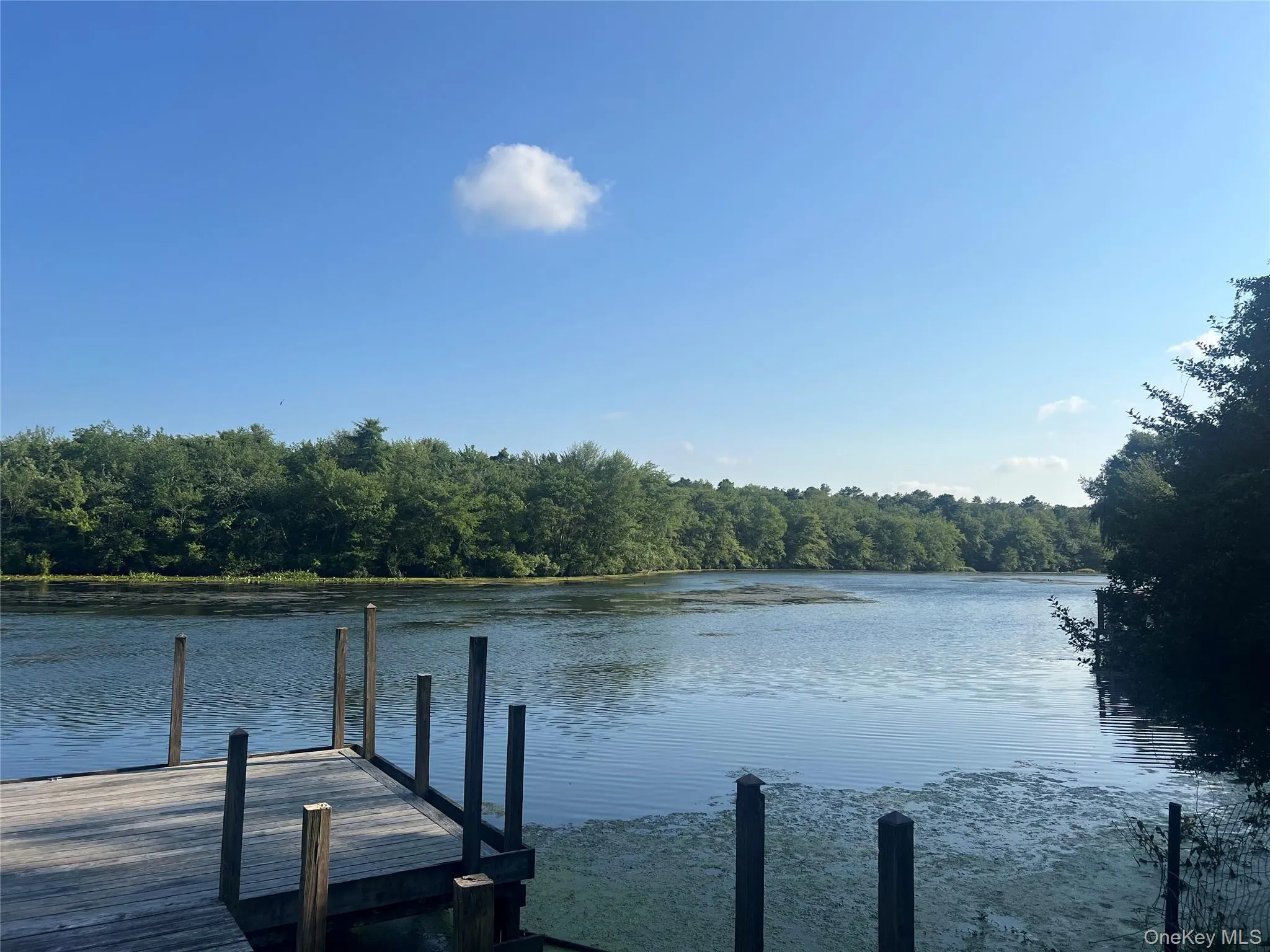 1375 Main Street, Riverhead, NY, 2 Bedrooms Bedrooms, 5 Rooms Rooms,1 BathroomBathrooms,Residential Lease,For Rent,Main,0,1036238 1375 Main Street, Riverhead, NY, 2 Bedrooms Bedrooms, 5 Rooms Rooms,1 BathroomBathrooms,Residential Lease,For Rent,Main,0,1036238