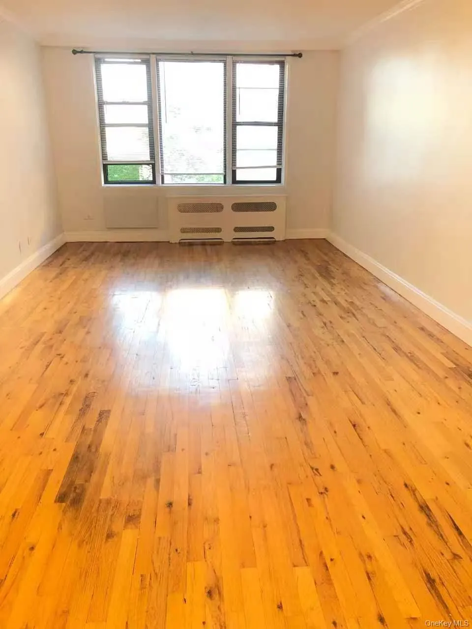42-26 81st Street, New York, NY, 2 Rooms Rooms,1 BathroomBathrooms,Residential Lease,For Rent,81st,0,1036243 42-26 81st Street, New York, NY, 2 Rooms Rooms,1 BathroomBathrooms,Residential Lease,For Rent,81st,0,1036243